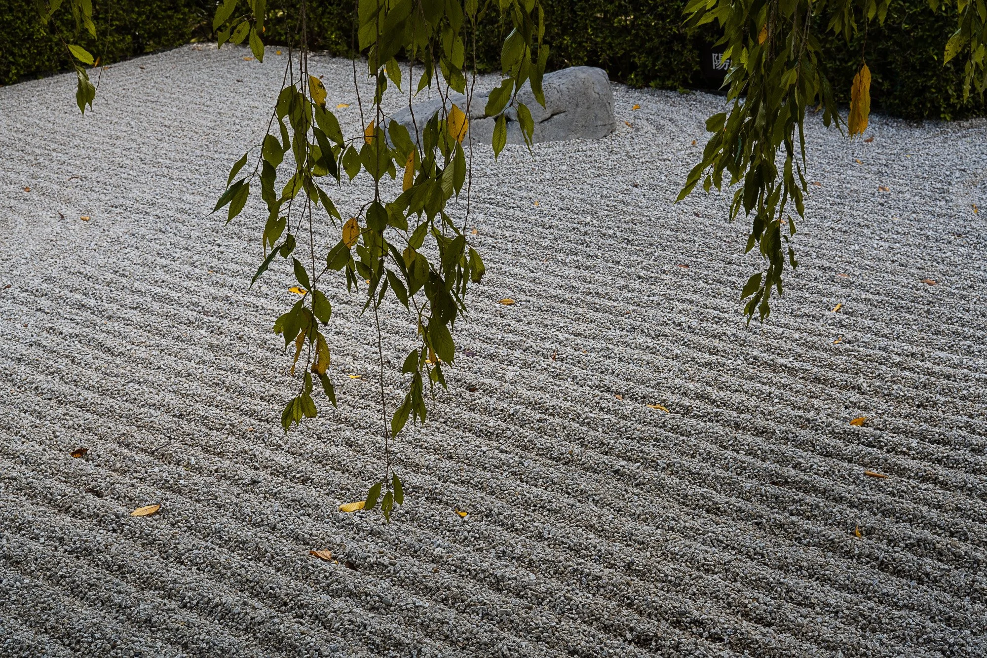 DSC_3713.jpg