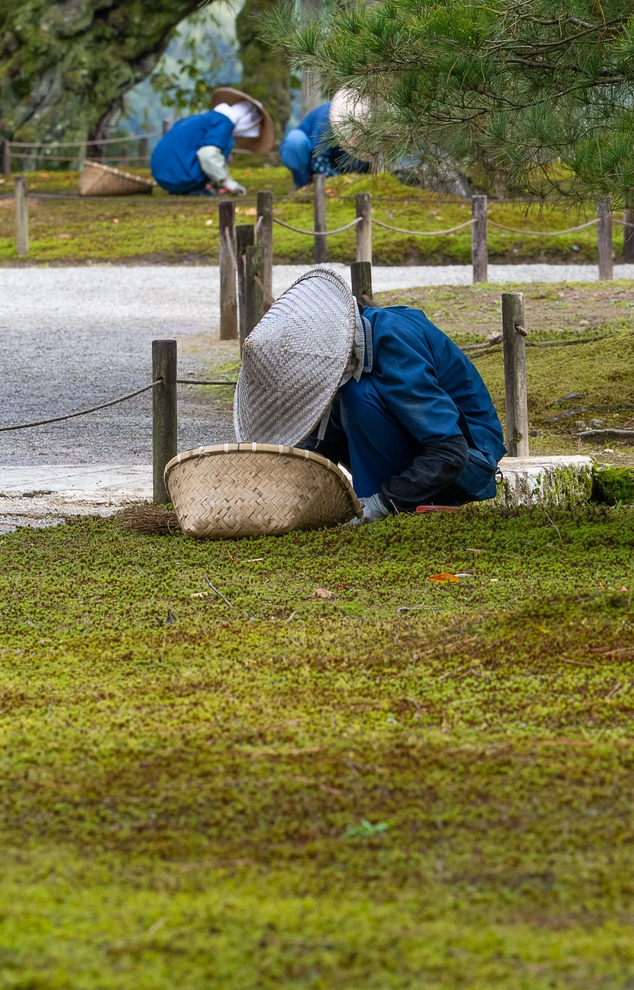 DSC_3322.jpg