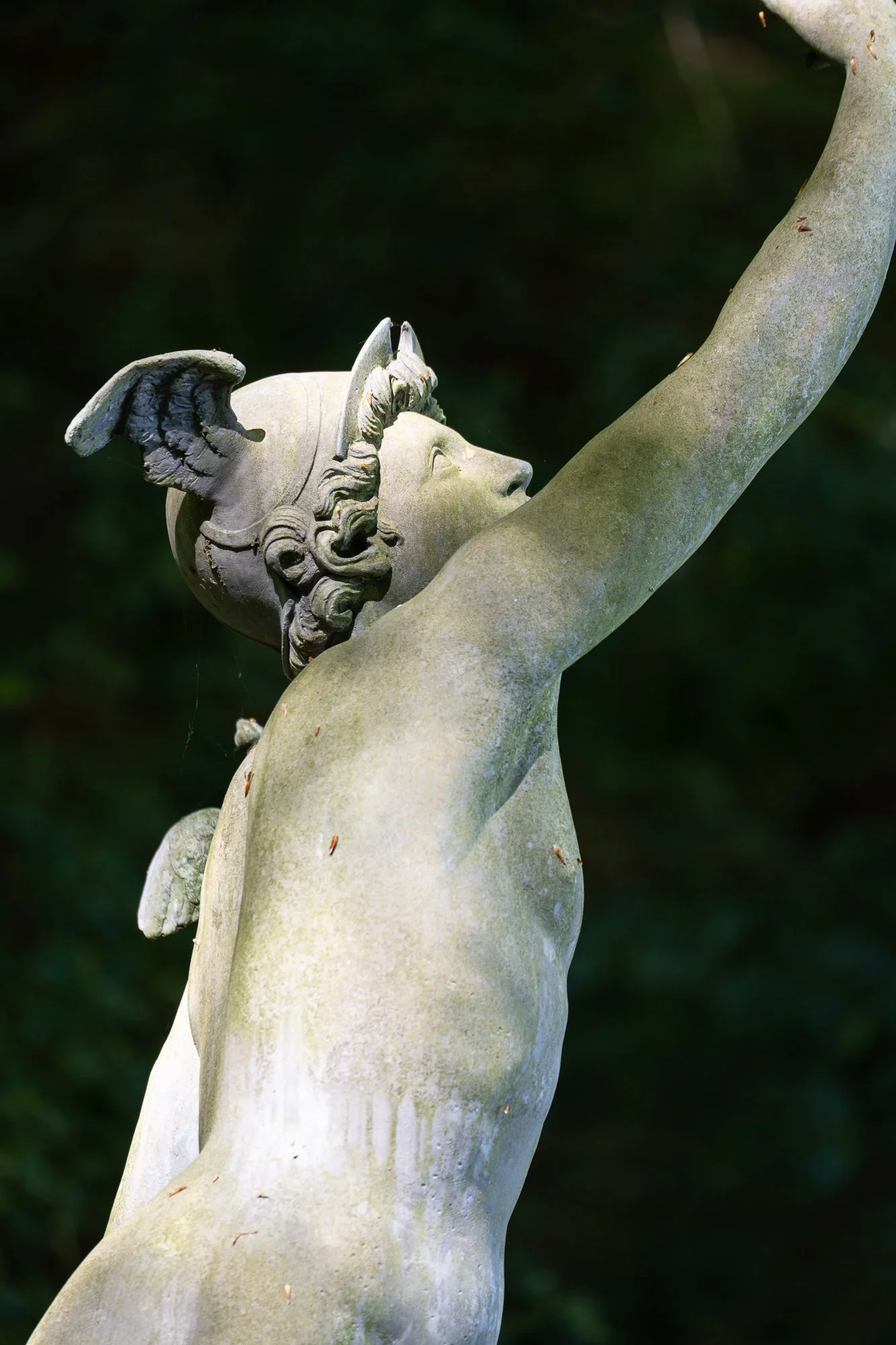 DSC_1045.jpg