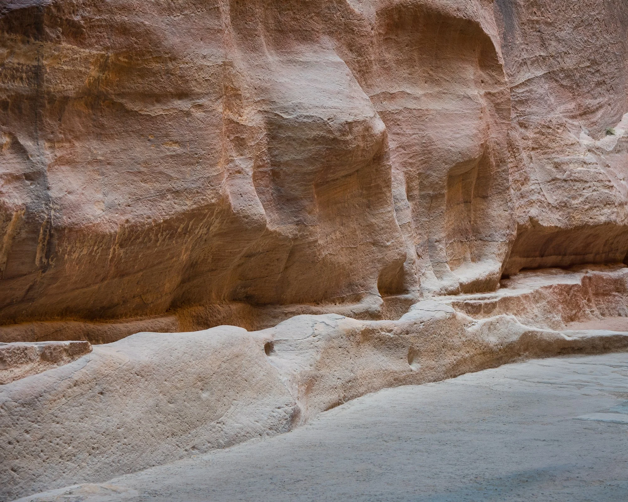 Elephants in the wall