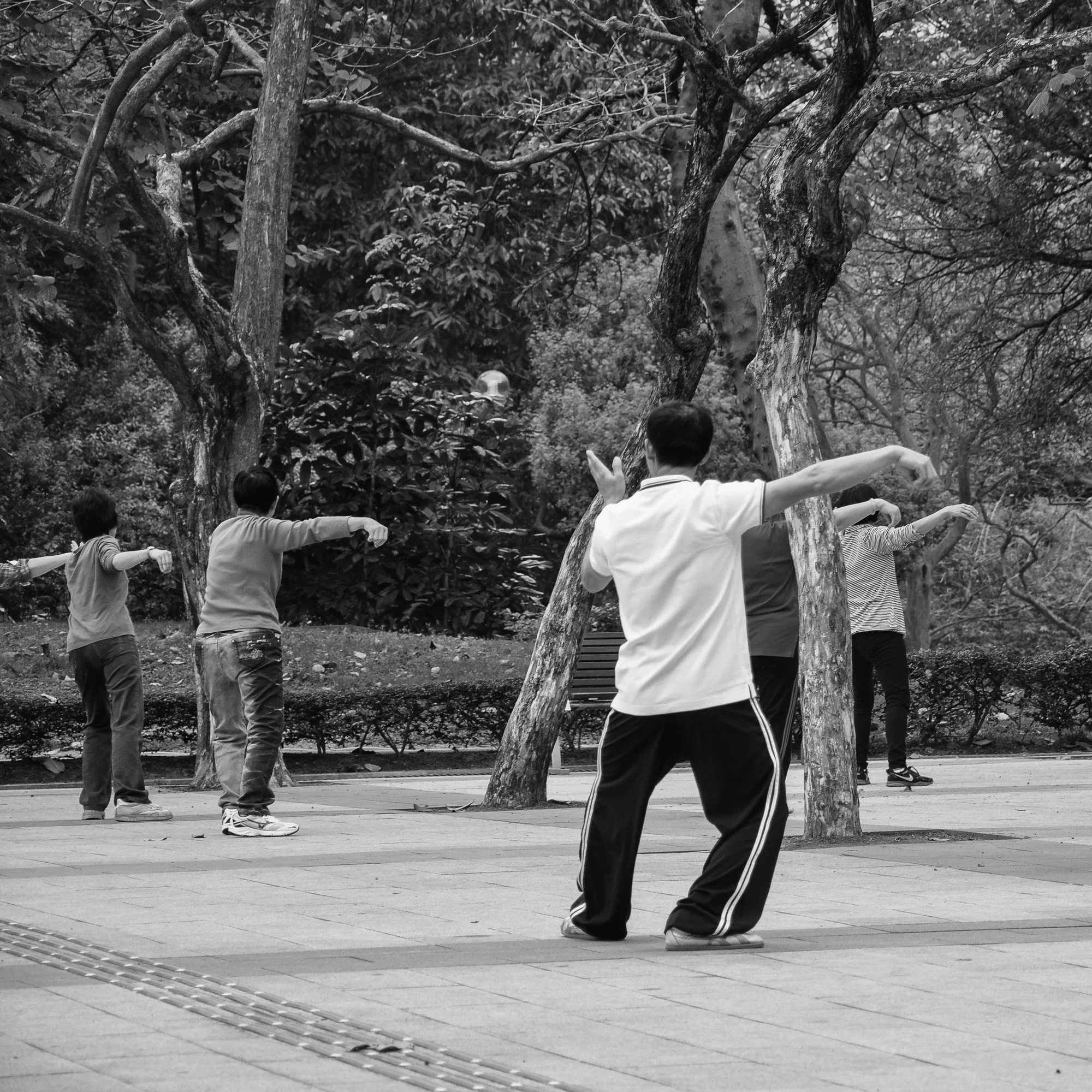 Tai Chi