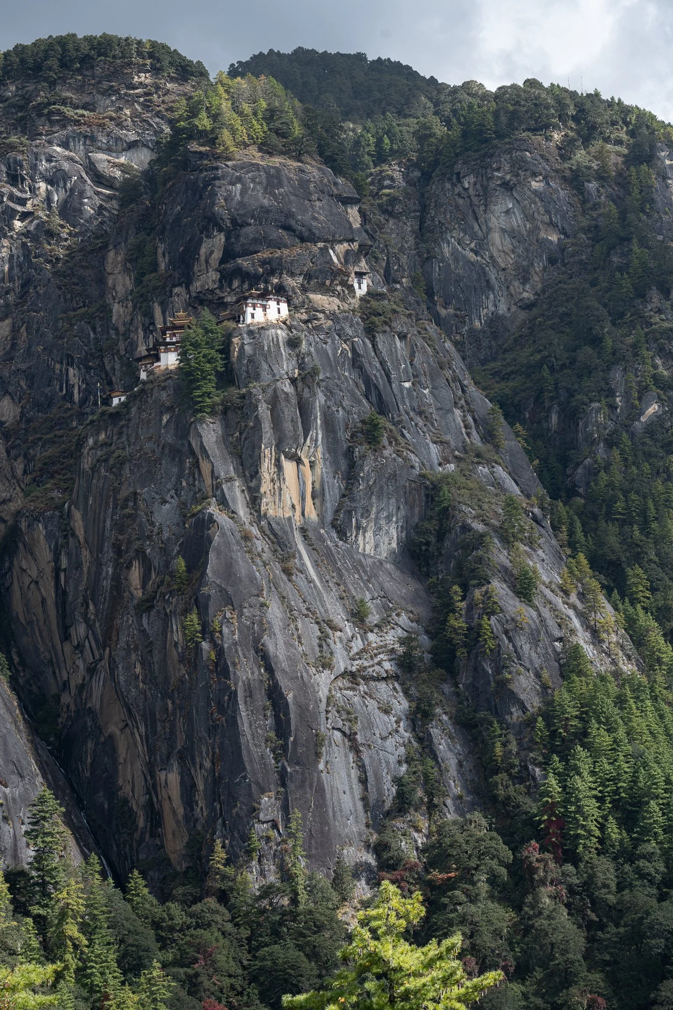 The Tiger's Nest
