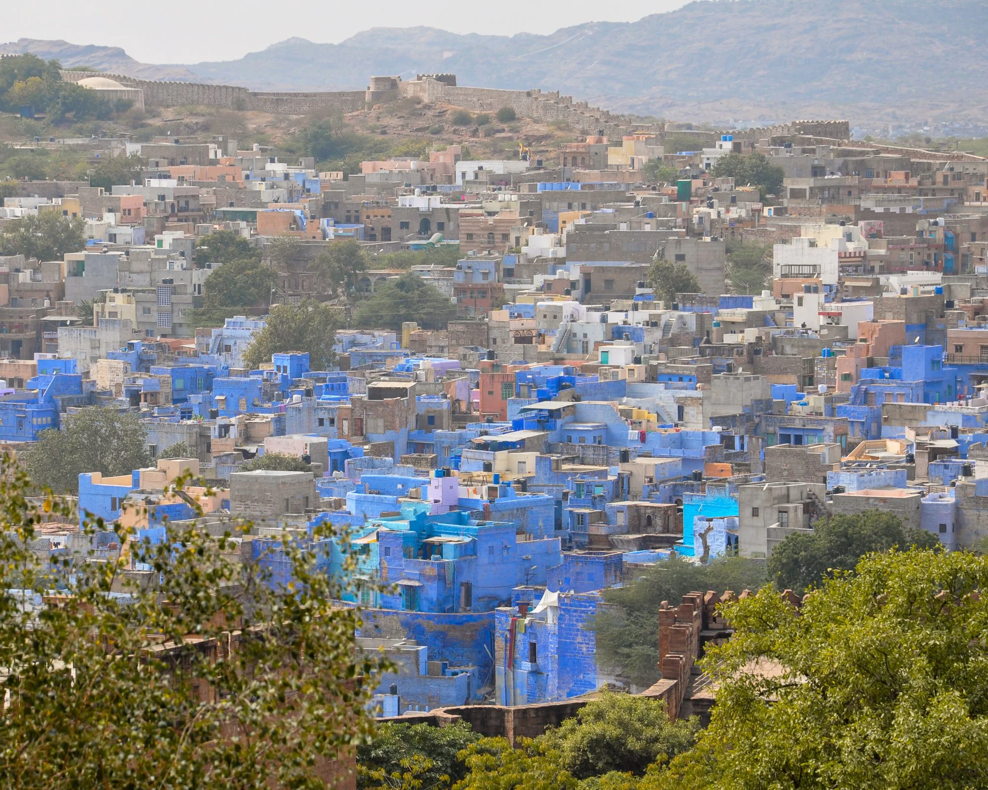 Jodphur, the blue city