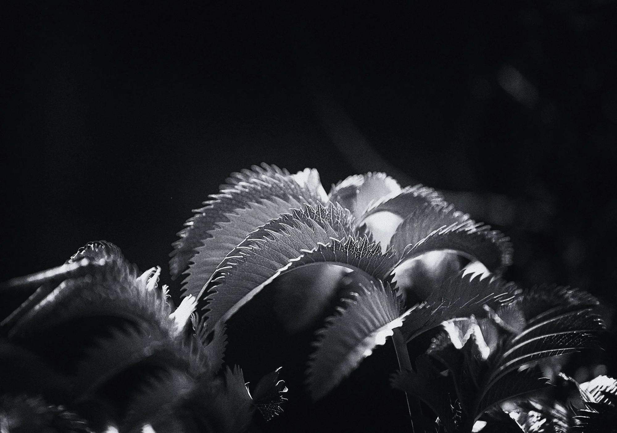 _DSC5444-Edit.jpg