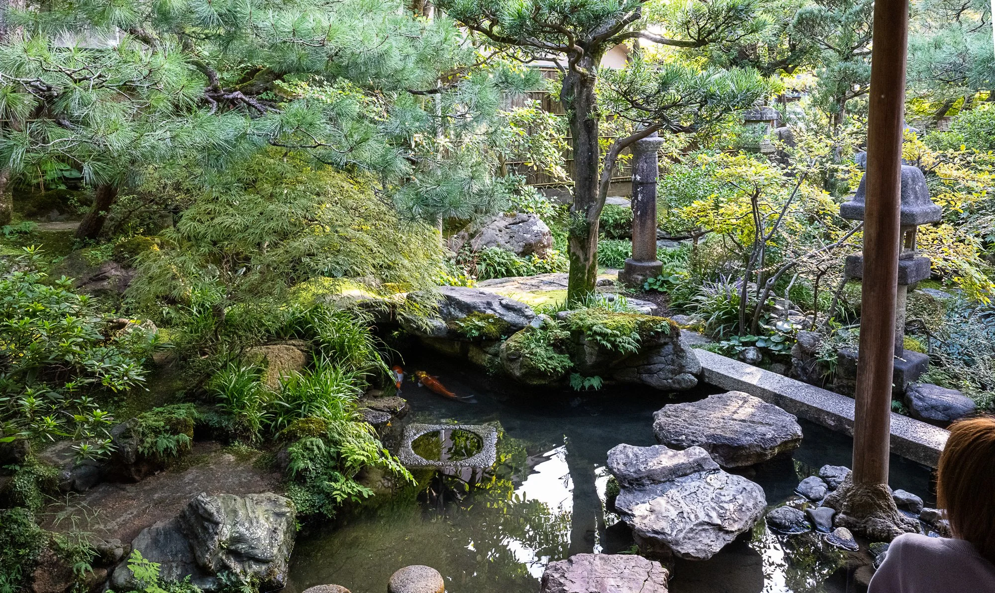 DSC_3225.jpg