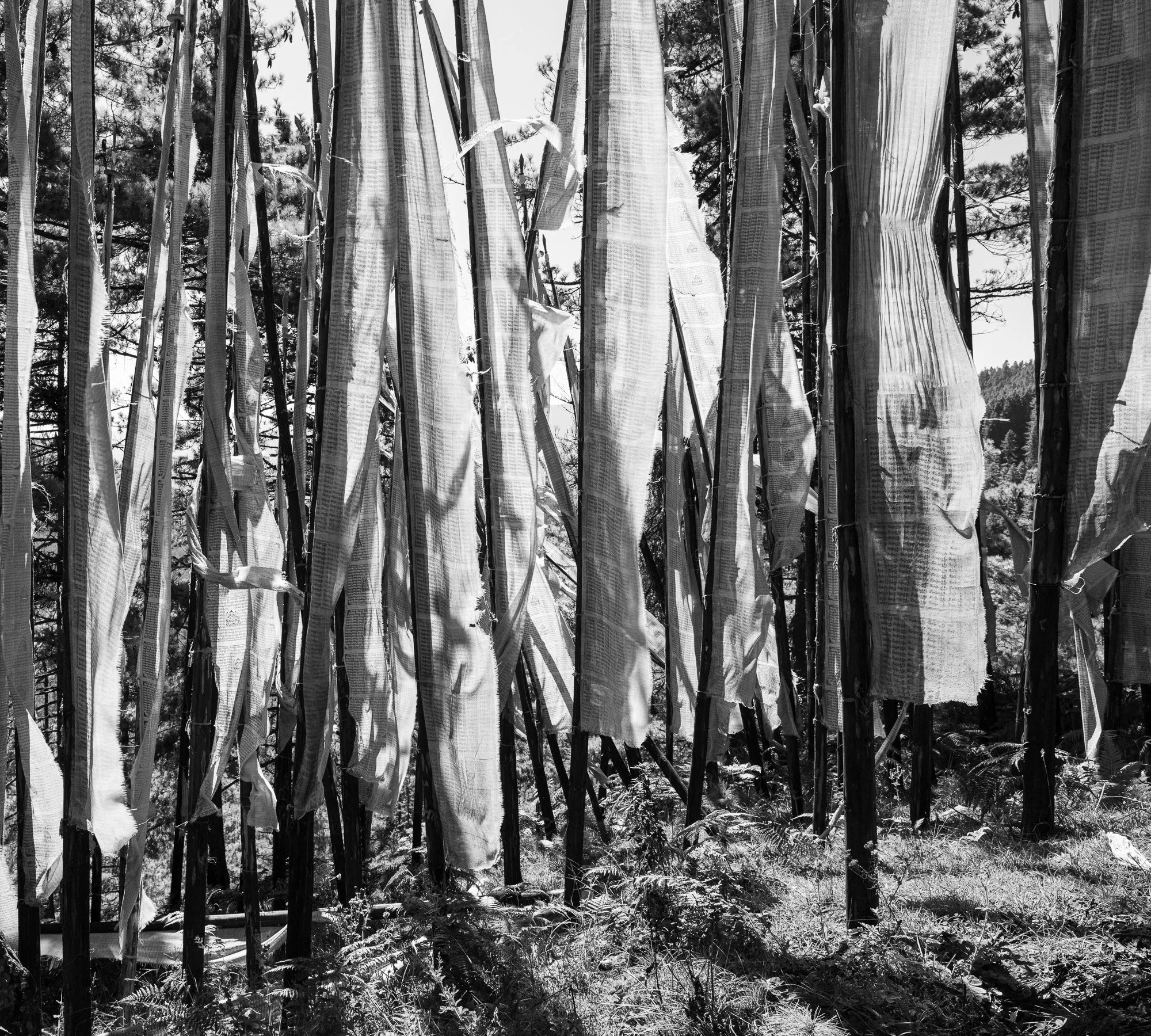 Prayer flags