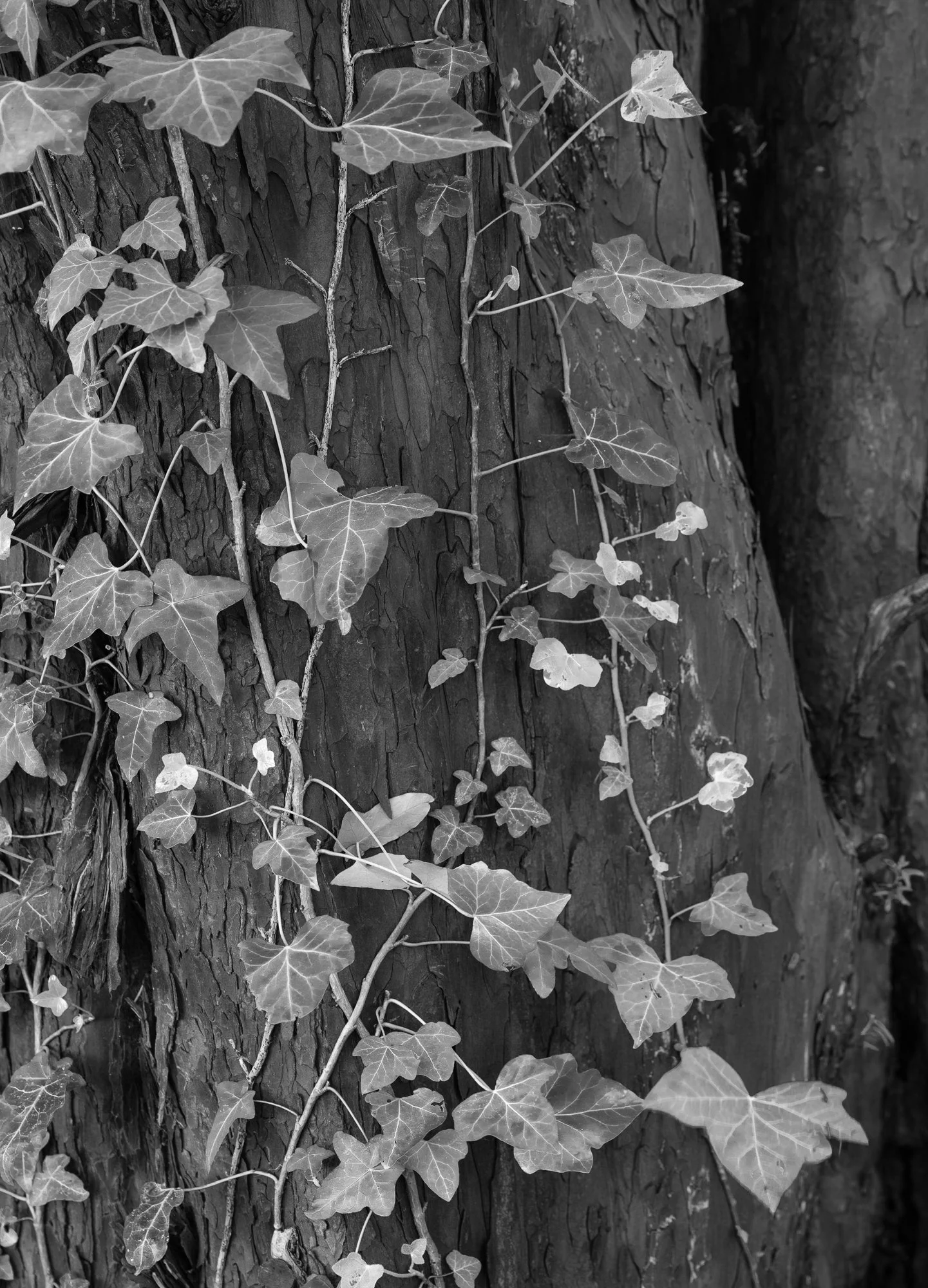 DSC_1069-Edit.jpg