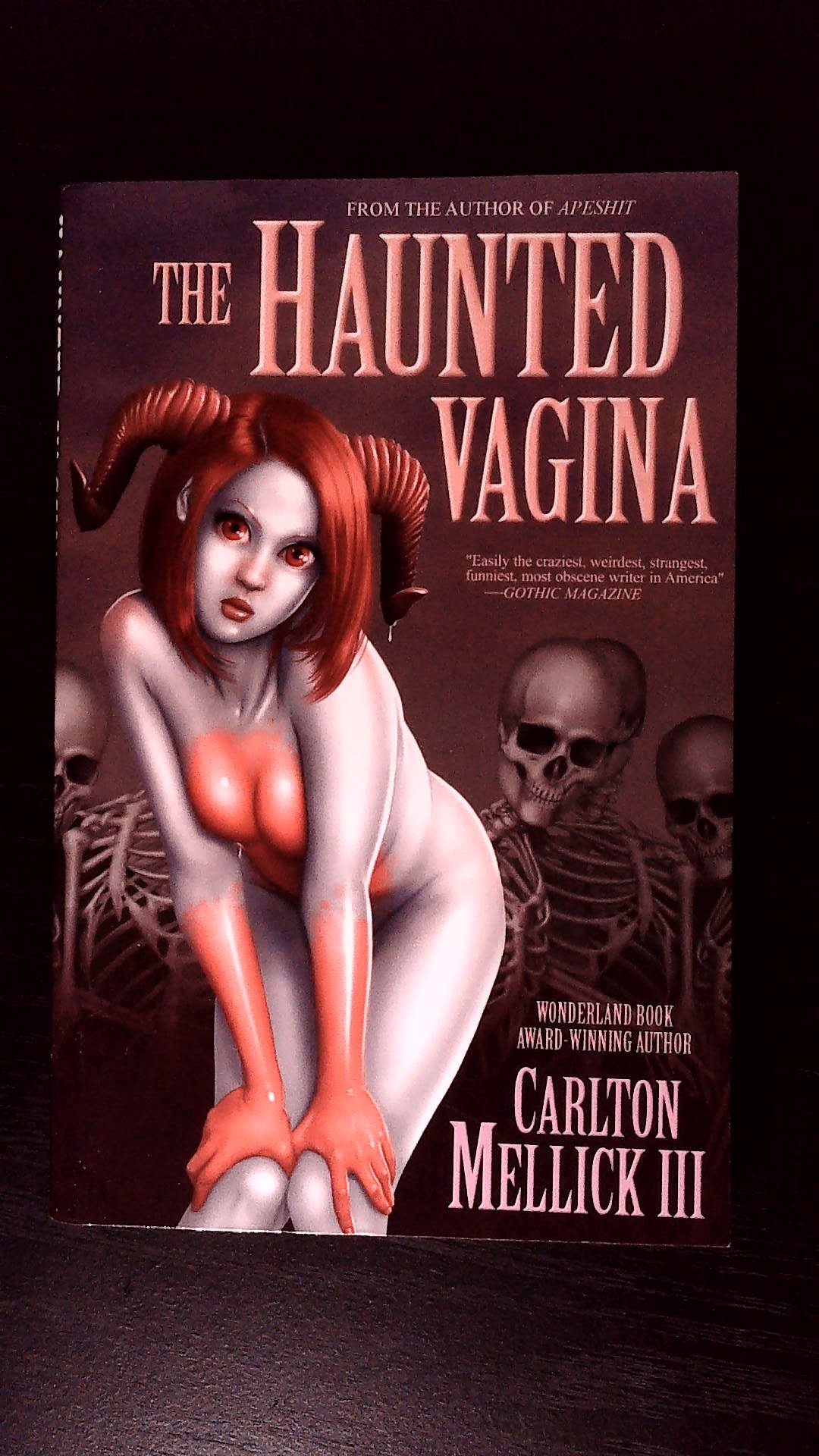 The Haunted Vagina