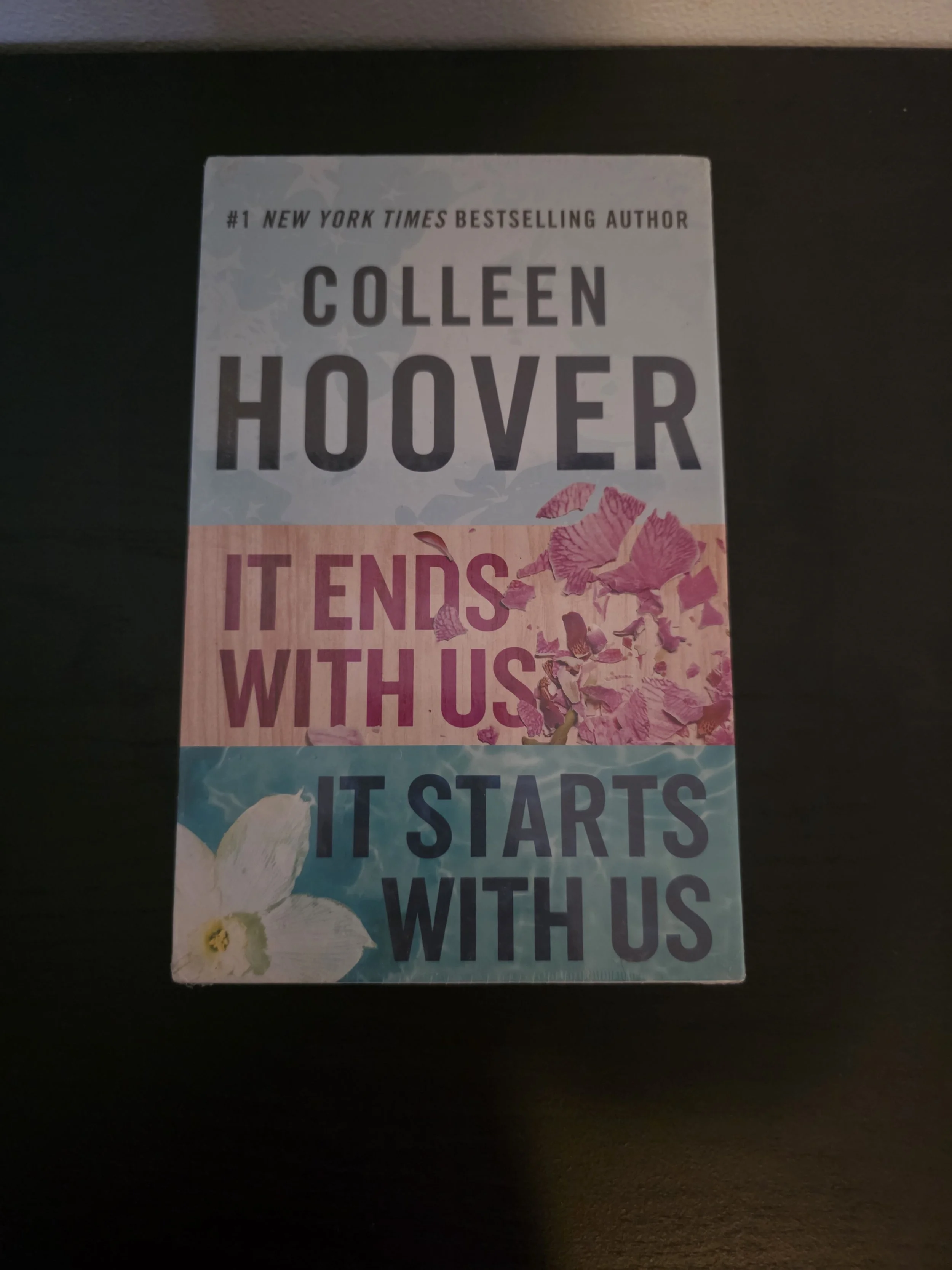 It Ends With Us (Box Set)