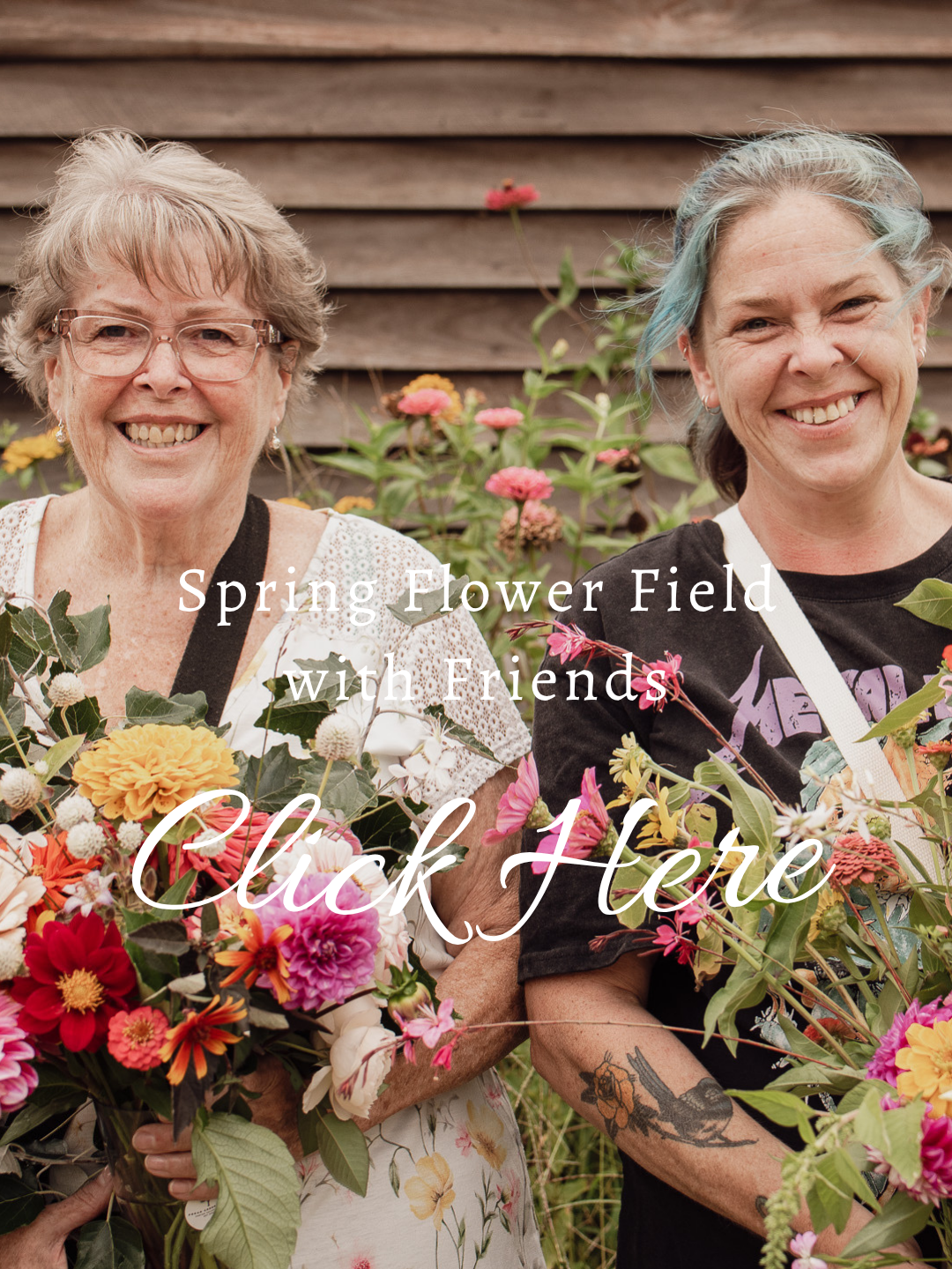 Spring Flower Field with Friends - Click Here