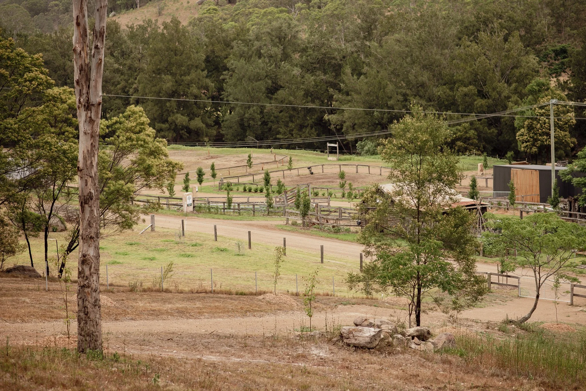 CCF_5950-2.jpg