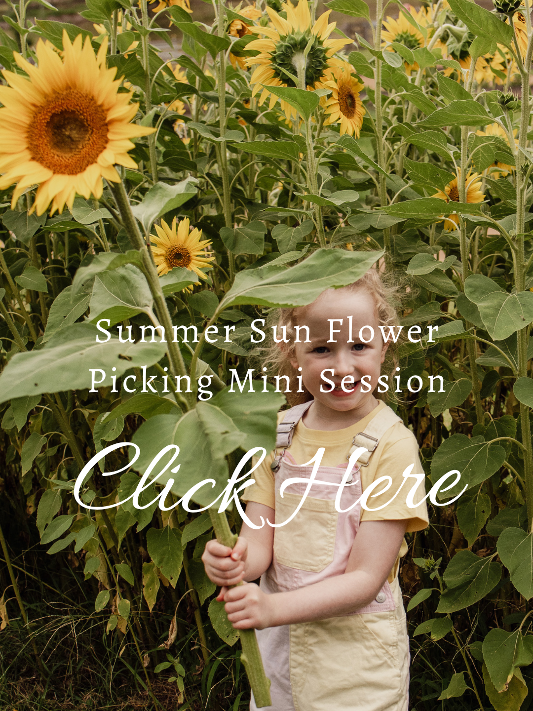 Summer Sun Flower Picking Mini Session - Click Here