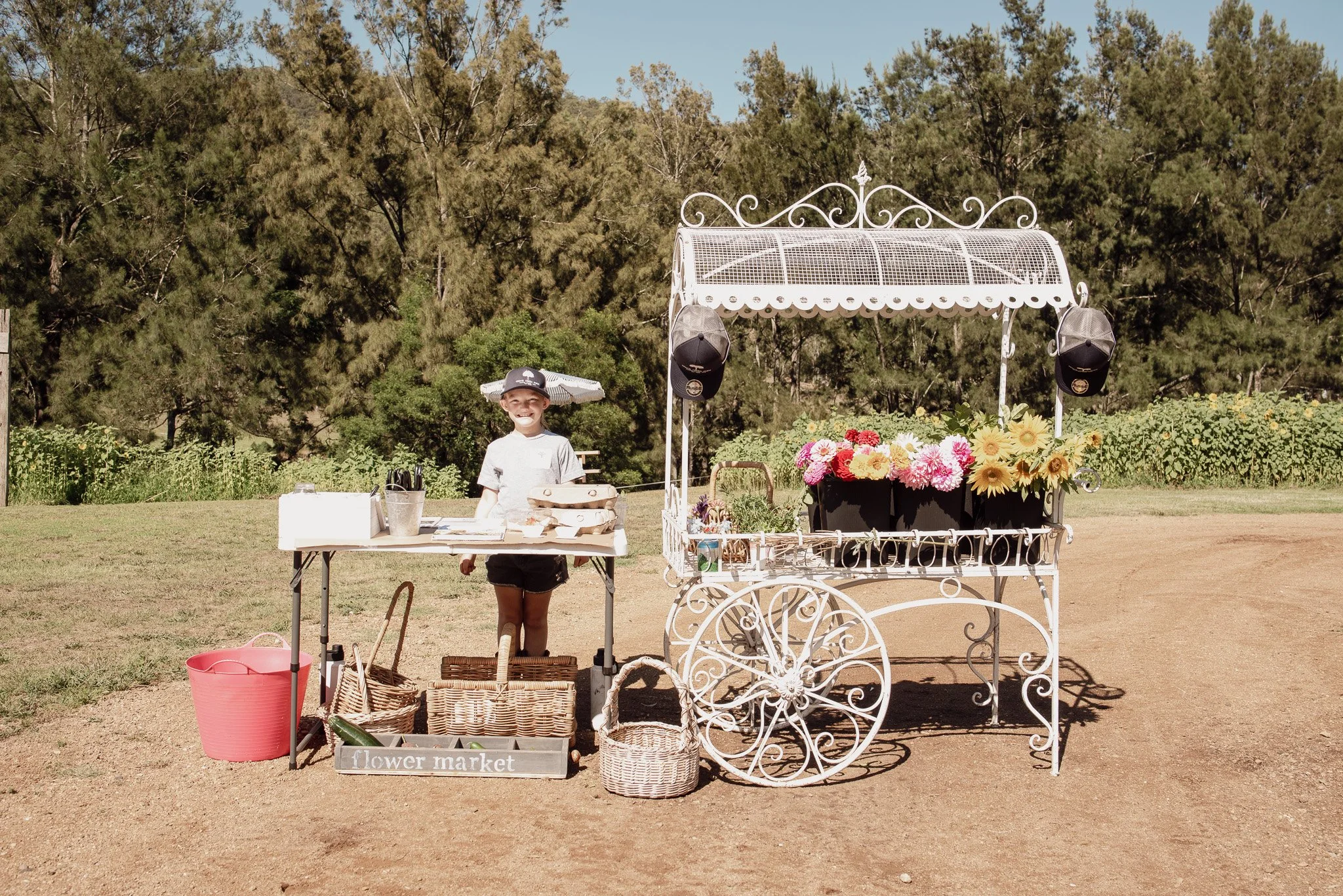 Farm experience flower cart donkey