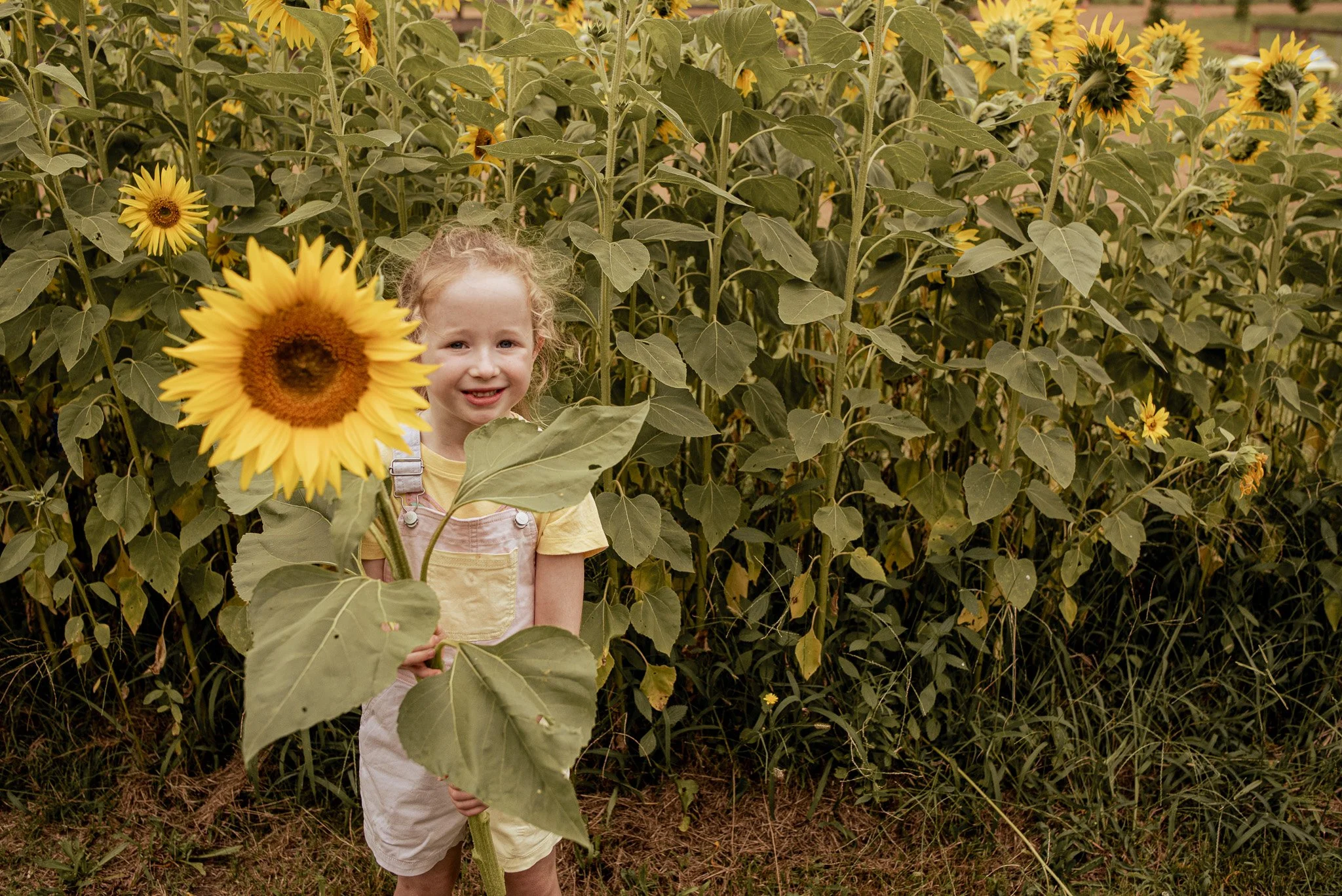 Flower Picking Mini Session- Click Here