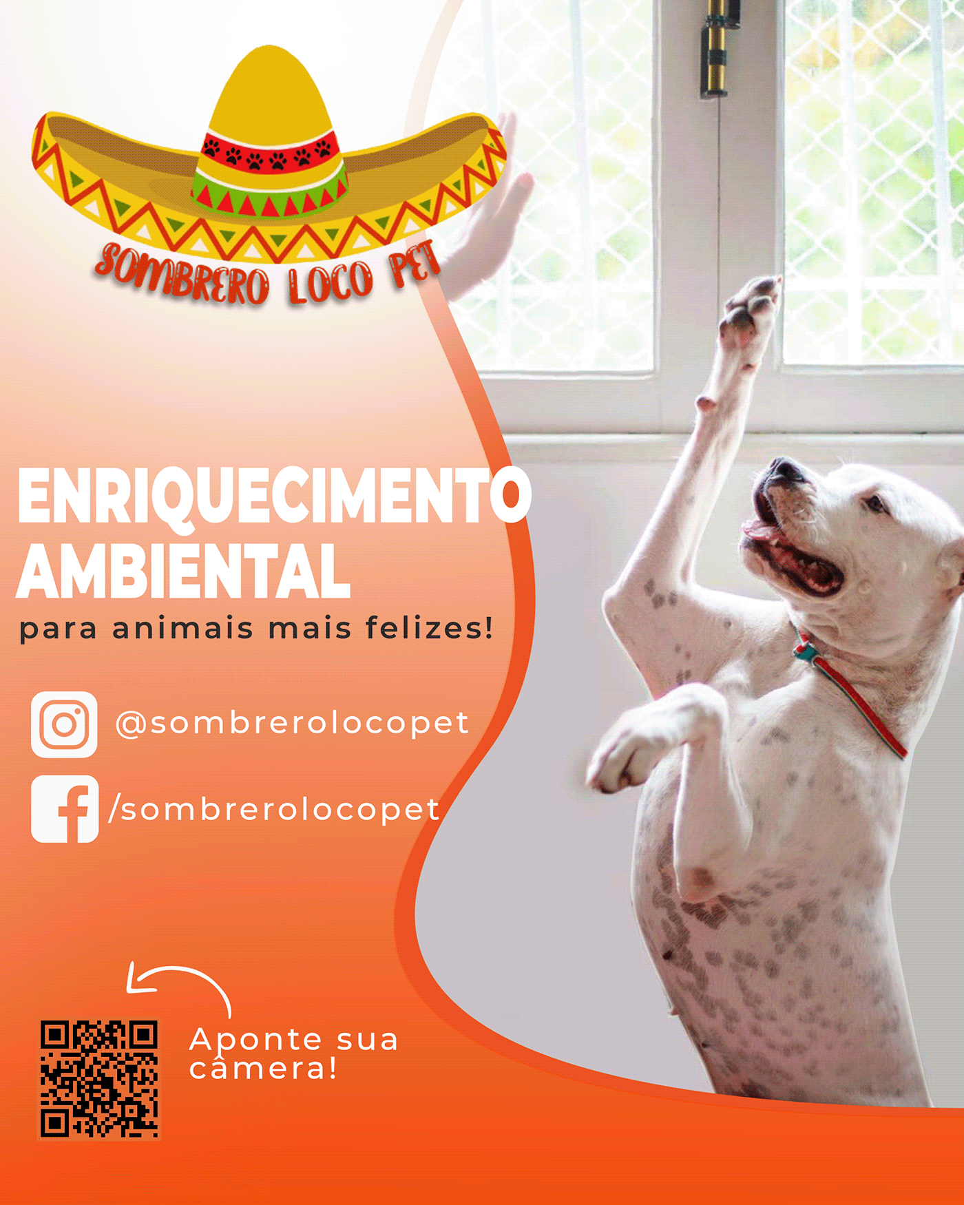 50456b109778103.5fdb6694de254.png