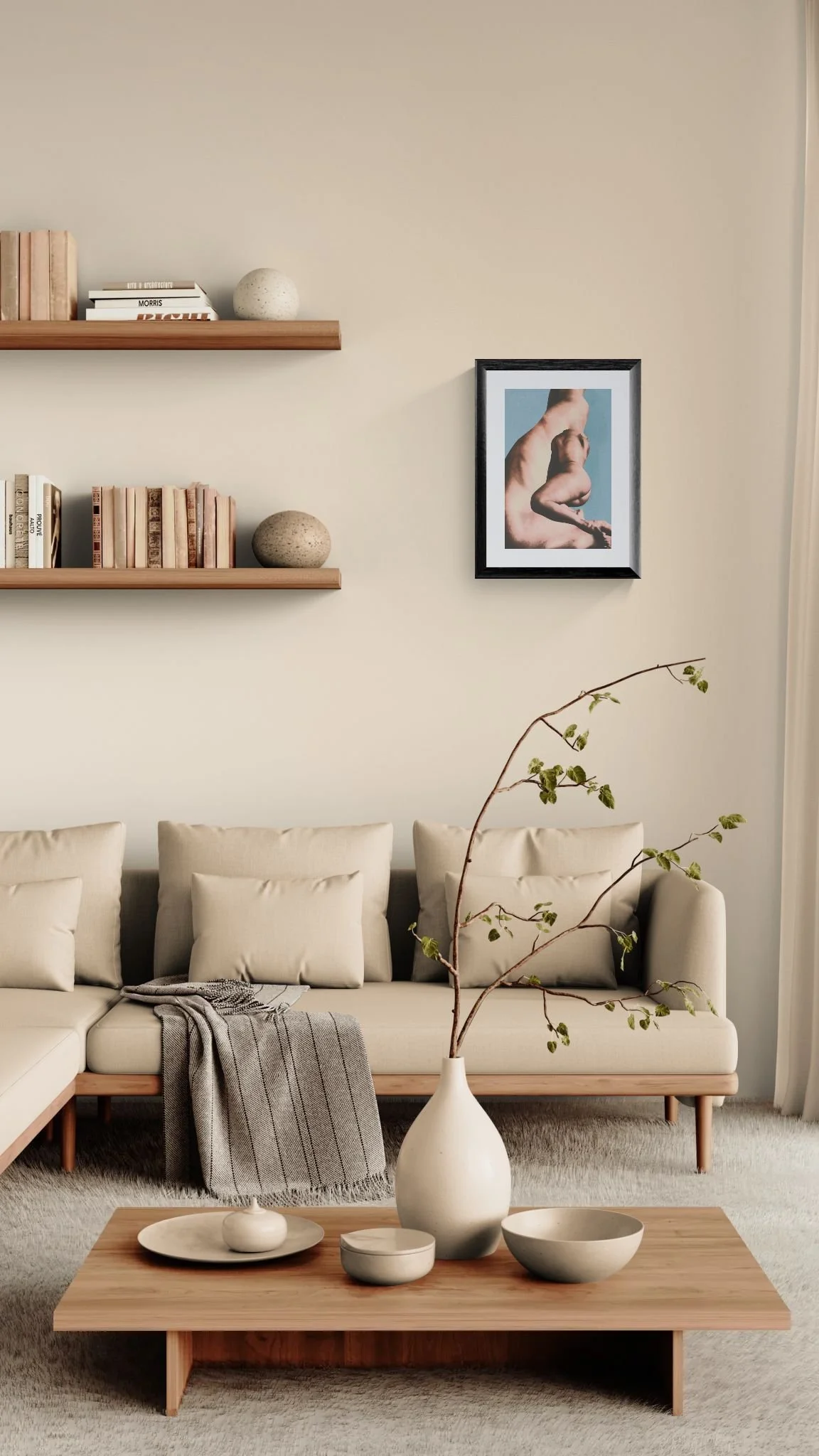 Cozy living room with wall shelving.jpeg