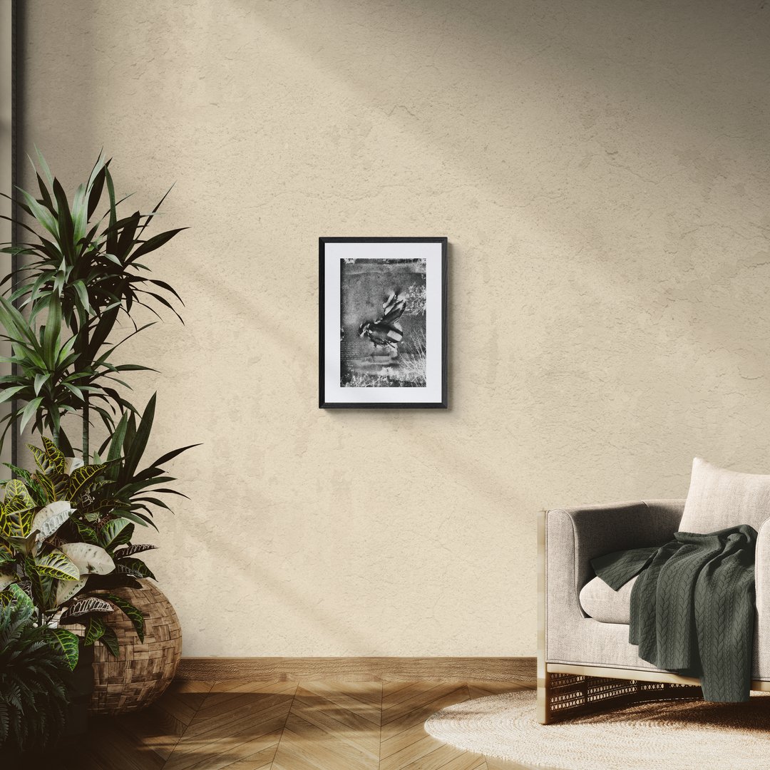sunlit-room-with-an-armchair-and-tropical-plants (8).jpg