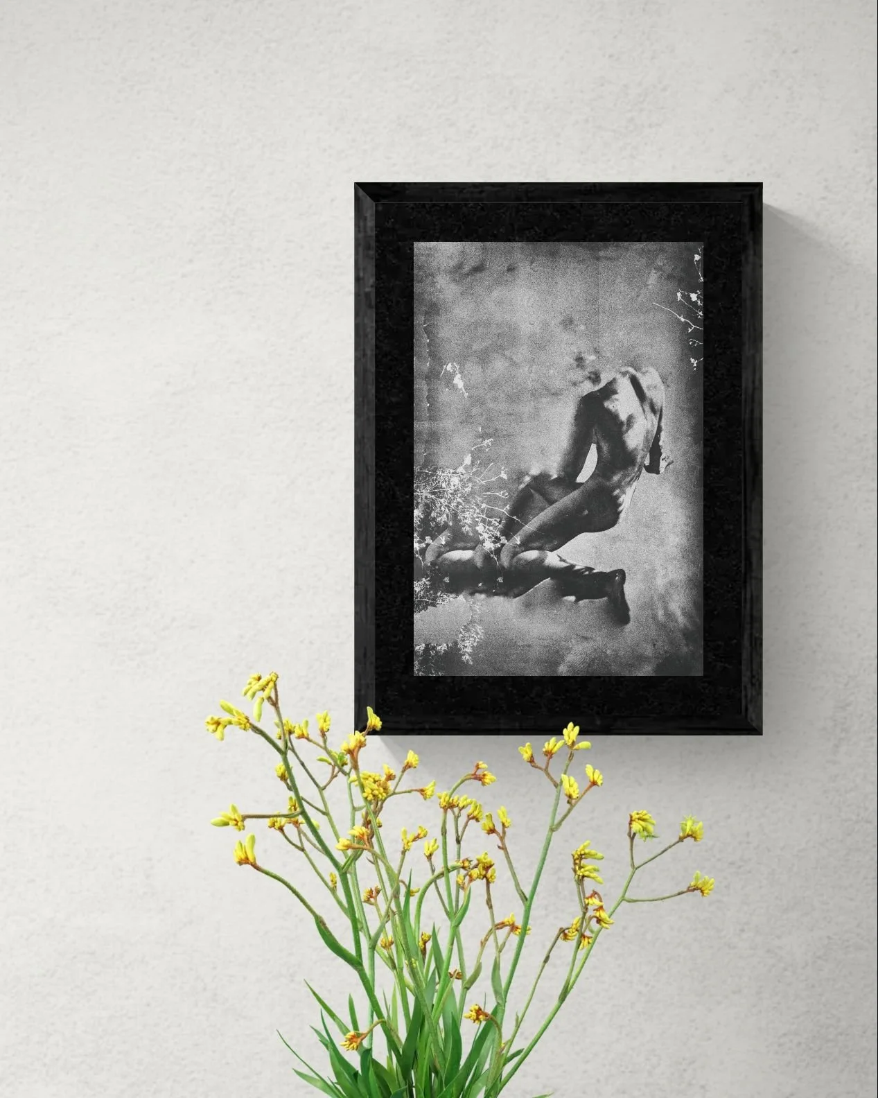 Potted plant with yellow buds sitting on a stool (2).jpeg