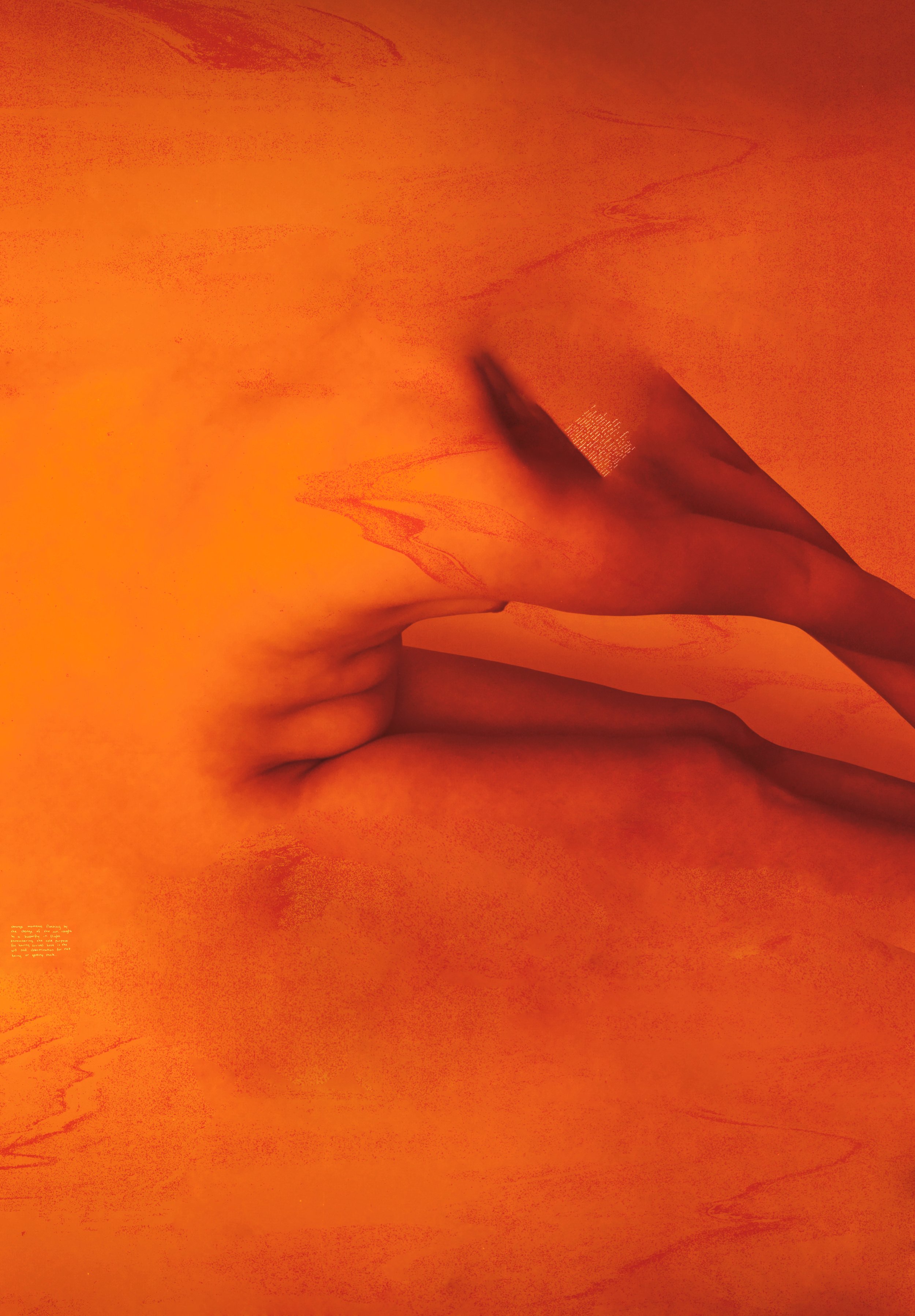 Veins of a Vanishing