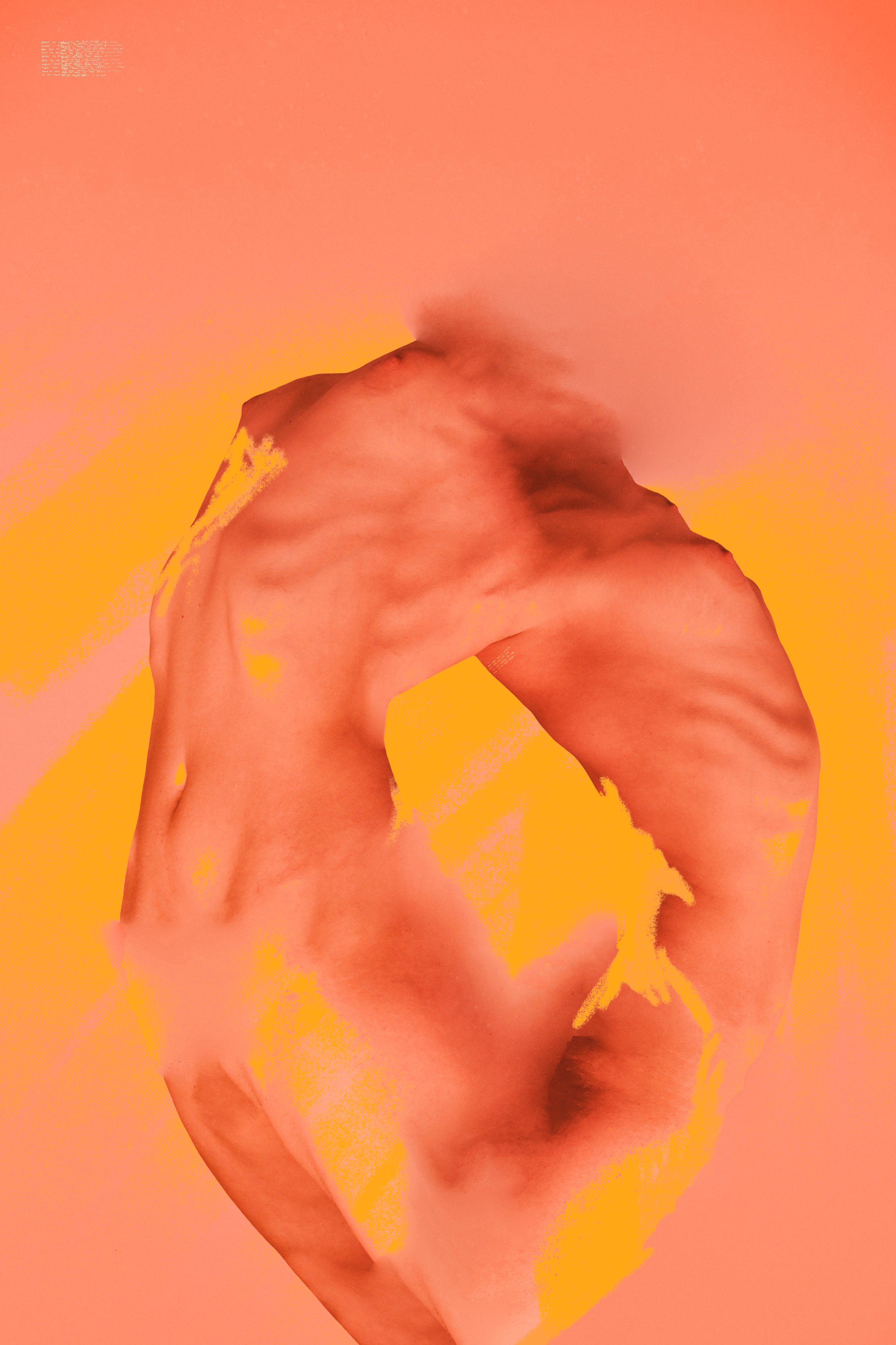 veins of division.jpg