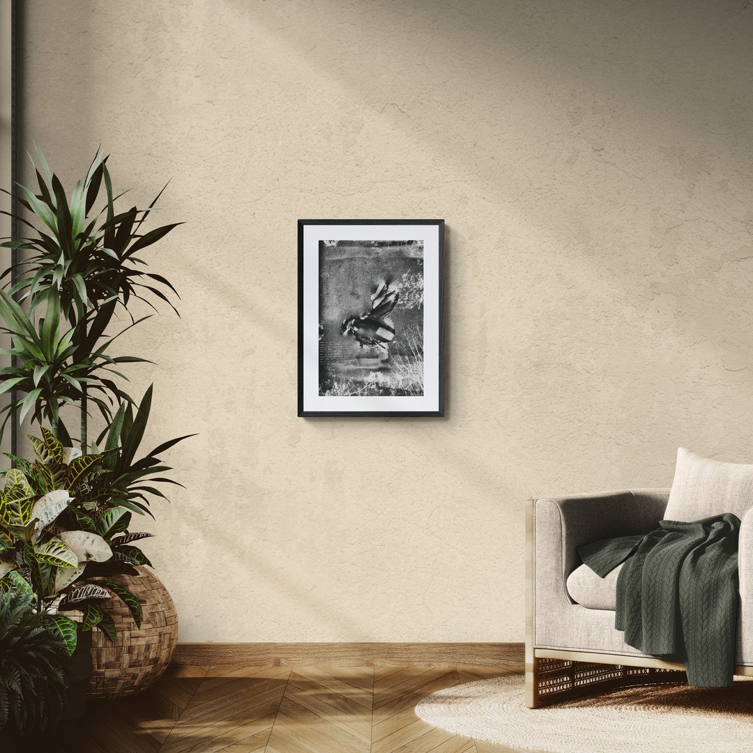 sunlit-room-with-an-armchair-and-tropical-plants (10).jpg
