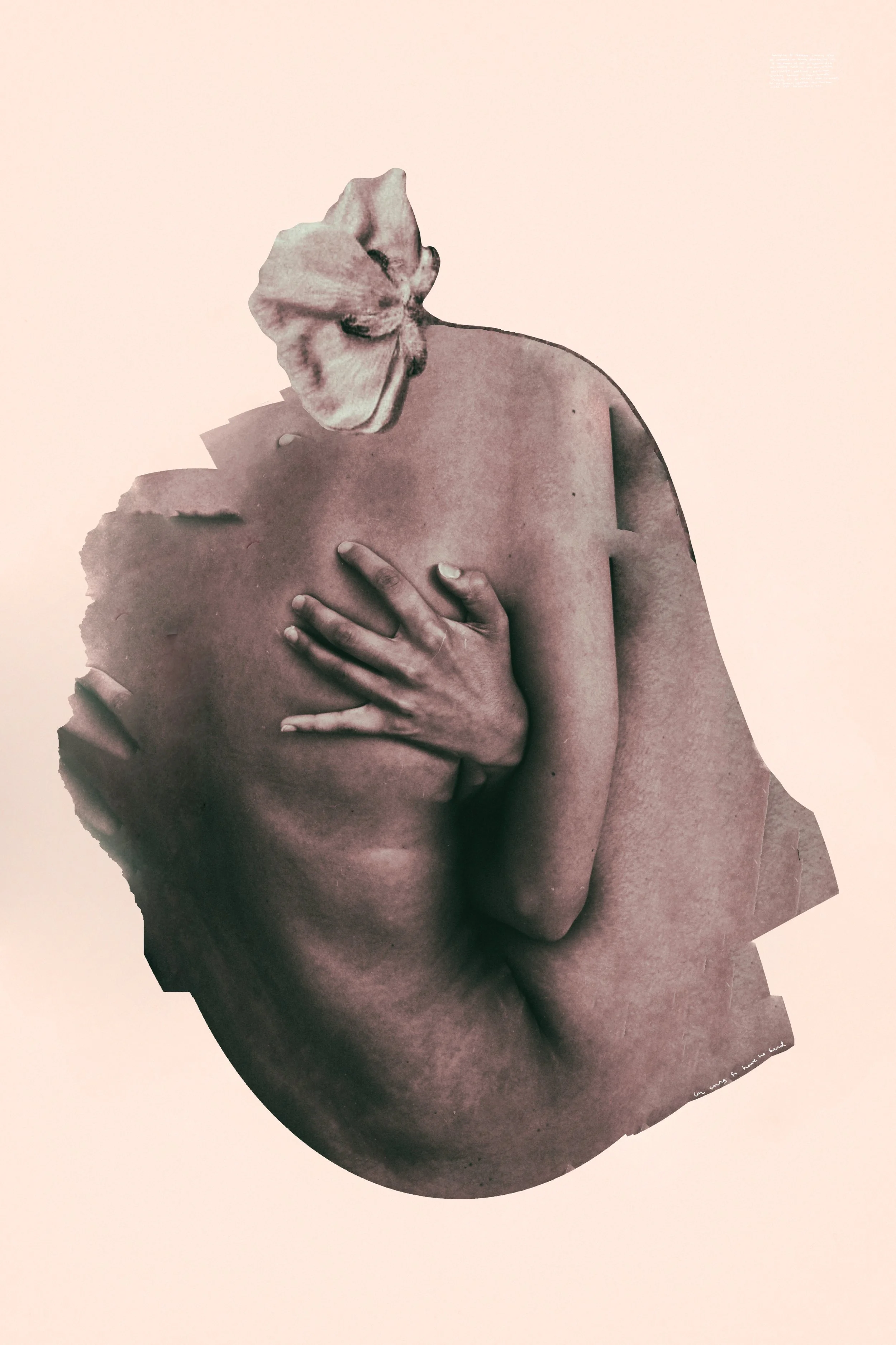 Metamorphosis.jpg
