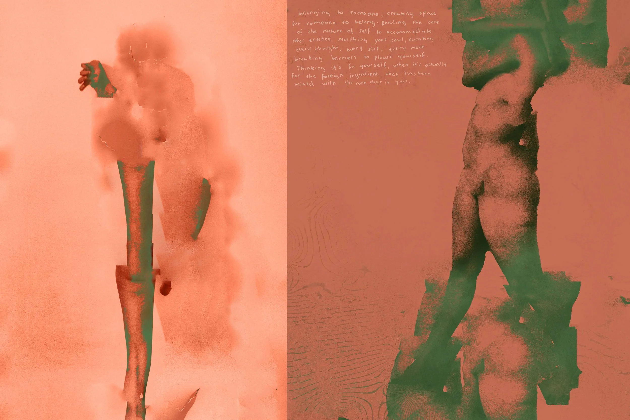 Reflection in the lake & the long legs of emus.jpg