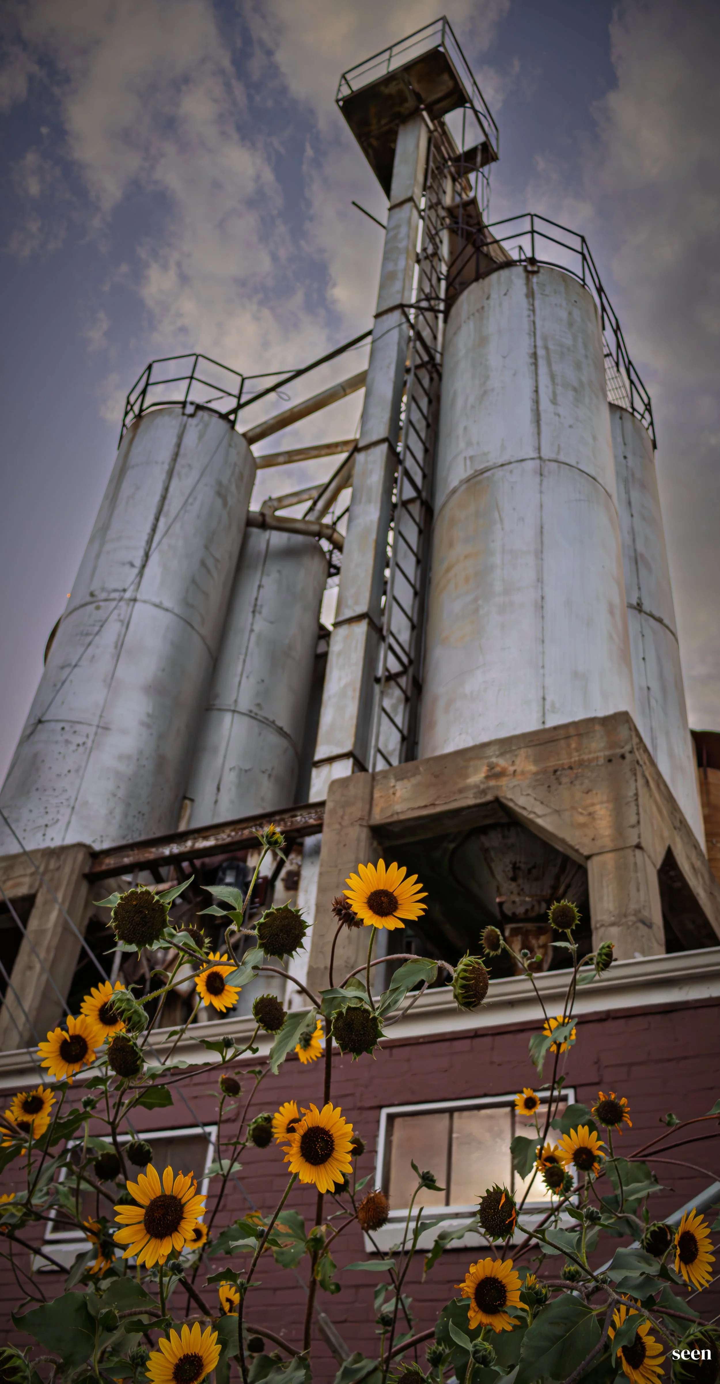 0136.Greeley.Downtown.Downtown Greeley 10-14.IMG_3737-Edit.FullRes.100quality.ScreenRWWM.IMG_3737.3052 x 5867.jpg