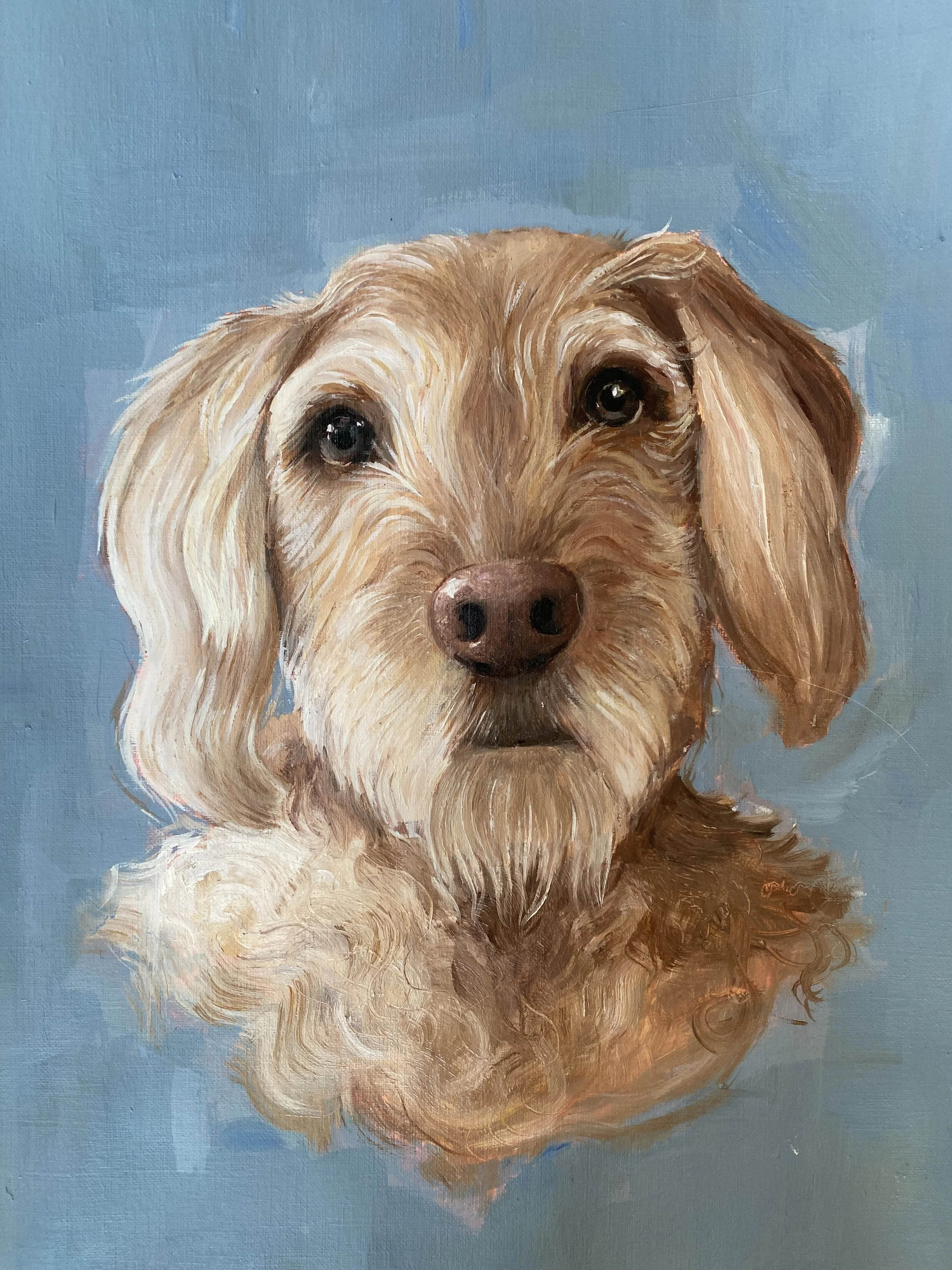 Dog portrait commission, 2019 (age 16)
