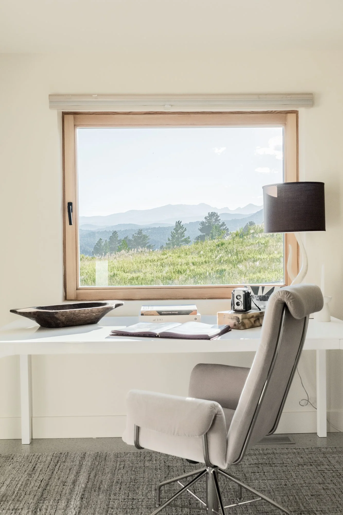 do you really need a buyer’s agent in denver?