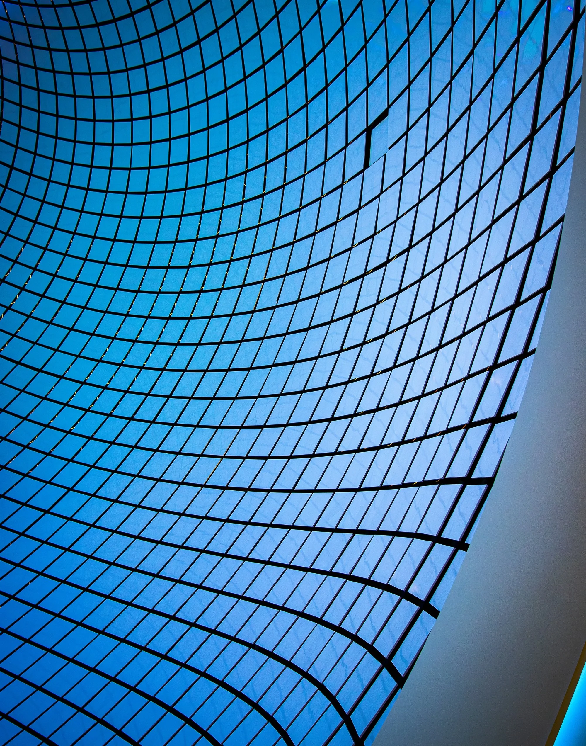 Grid at Icon of the Sea.jpg