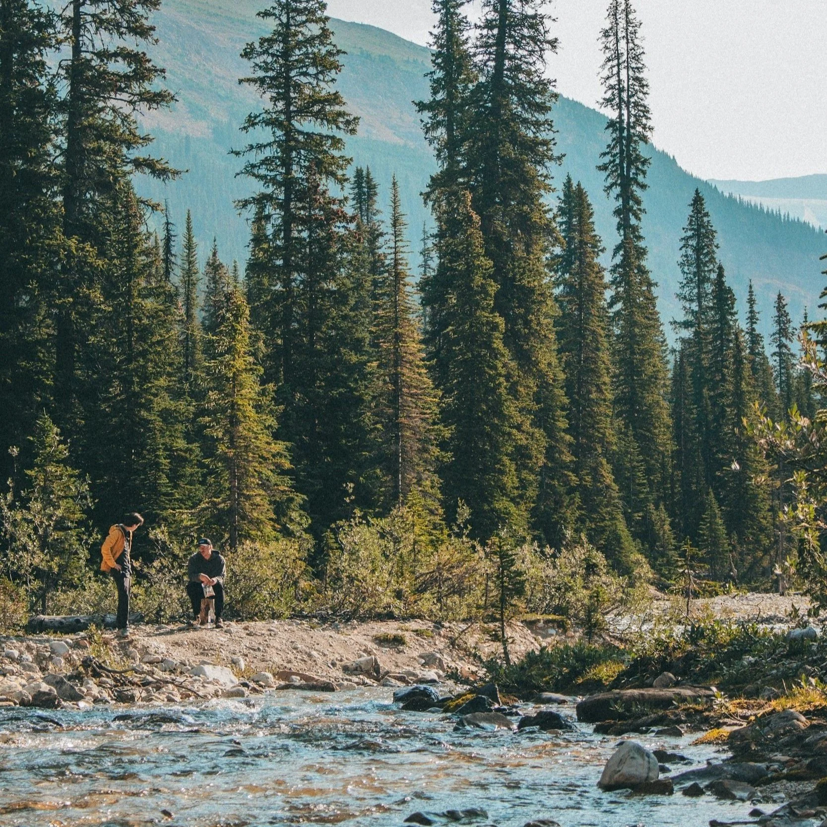 Two people standing by a flowing river in a forest with tall pine trees and mountains in the background.