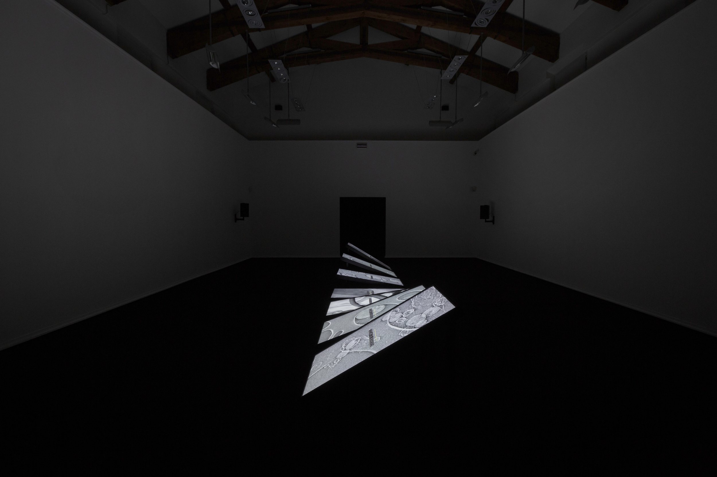 02_FMAV_RKurokawa_installation view_ph©Enrico Maria Bertani copia.jpg