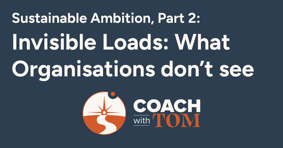 Sustainable Ambition Part 2: Invisible Loads and What Organisations Don't See