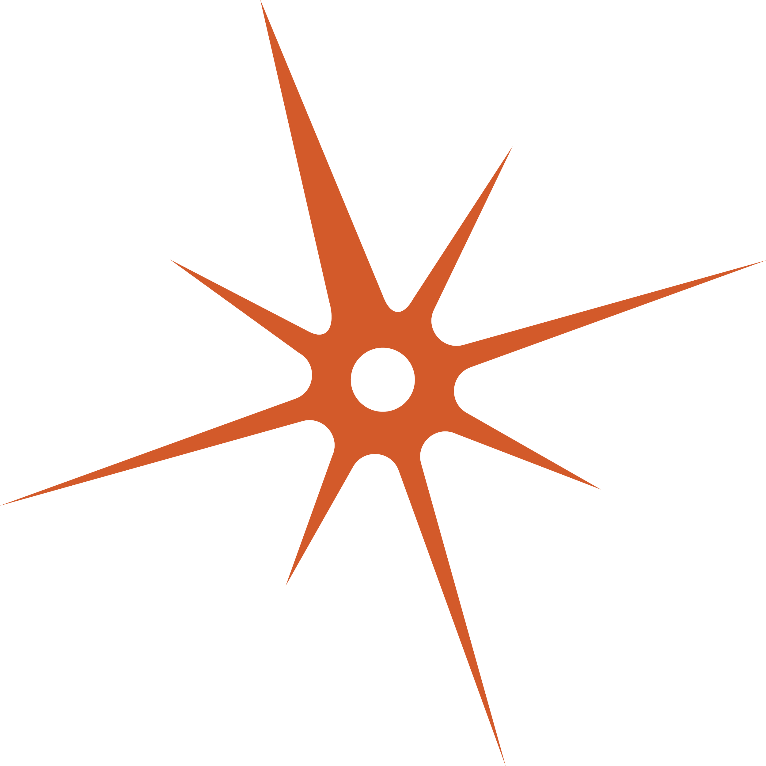 Decorative star