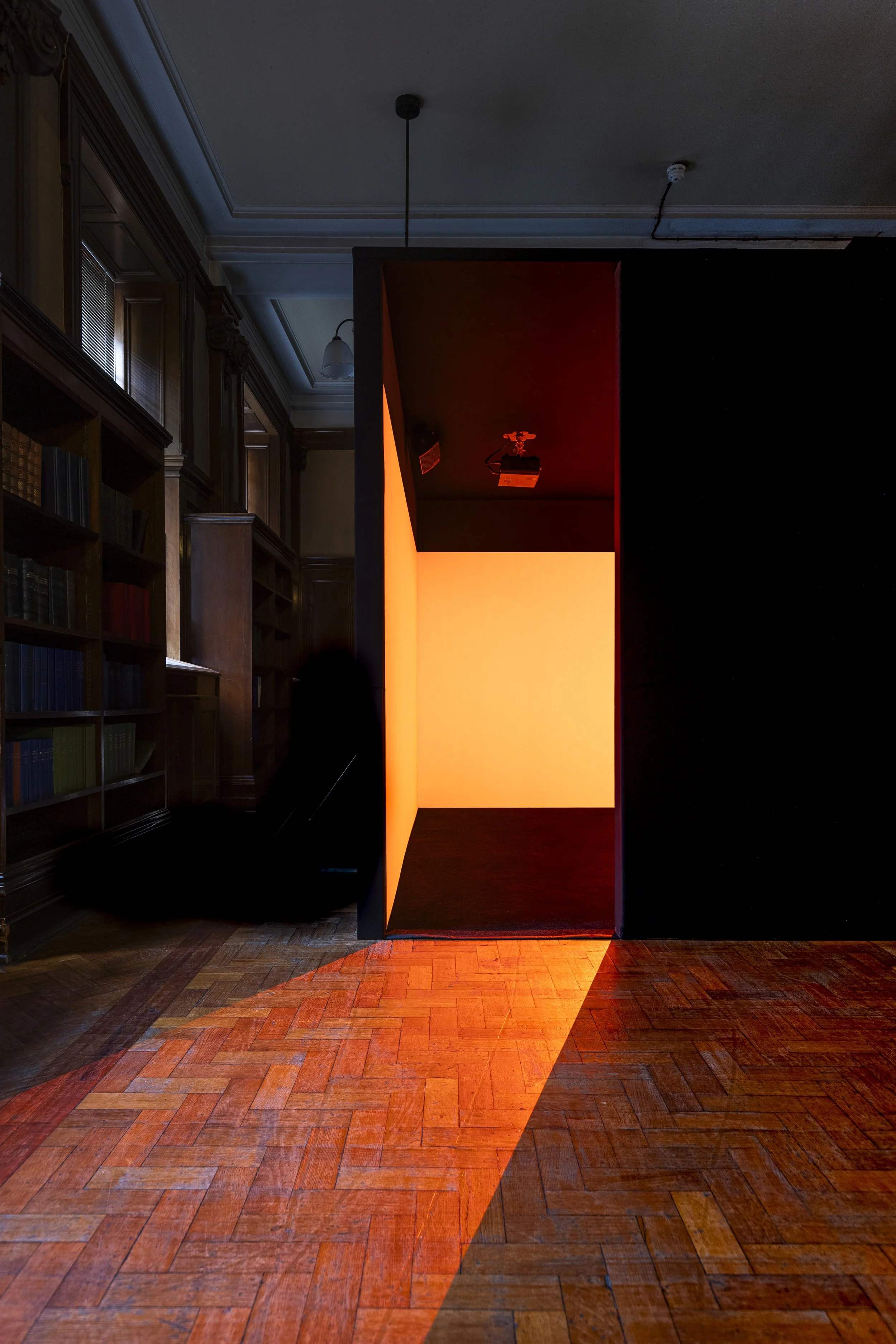 Image by Eoin Carey