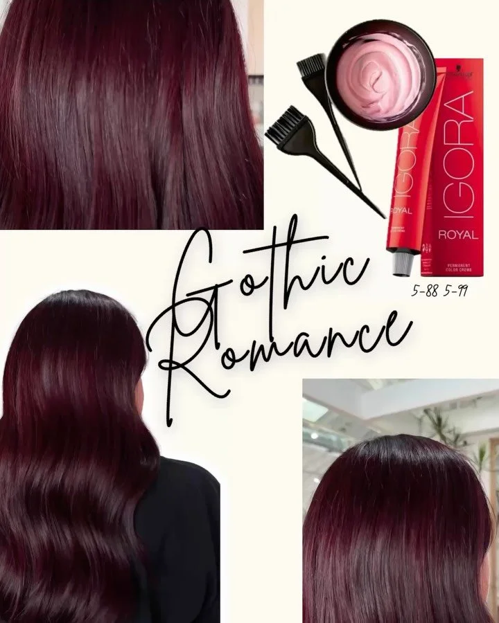 Deep Luscious Vibrant Tones Come Find Me Now 🧛&zwj;♀️ ✨