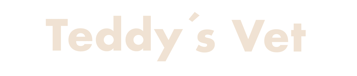 Teddy's Vet