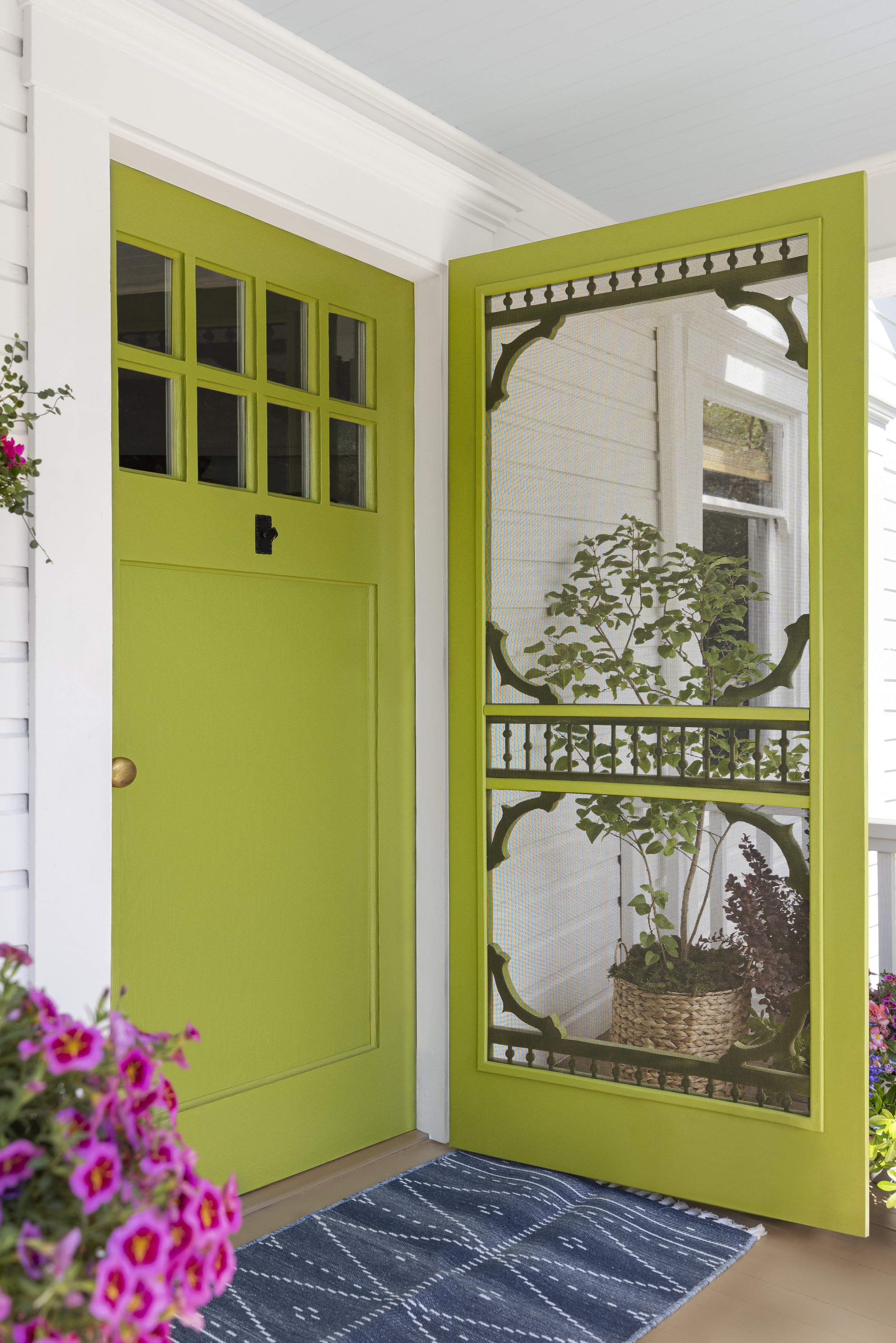 Green front door with decorative screen on a porch, featuring hanging plants and purple flowers in planters, with a patterned blue rug on the floor.