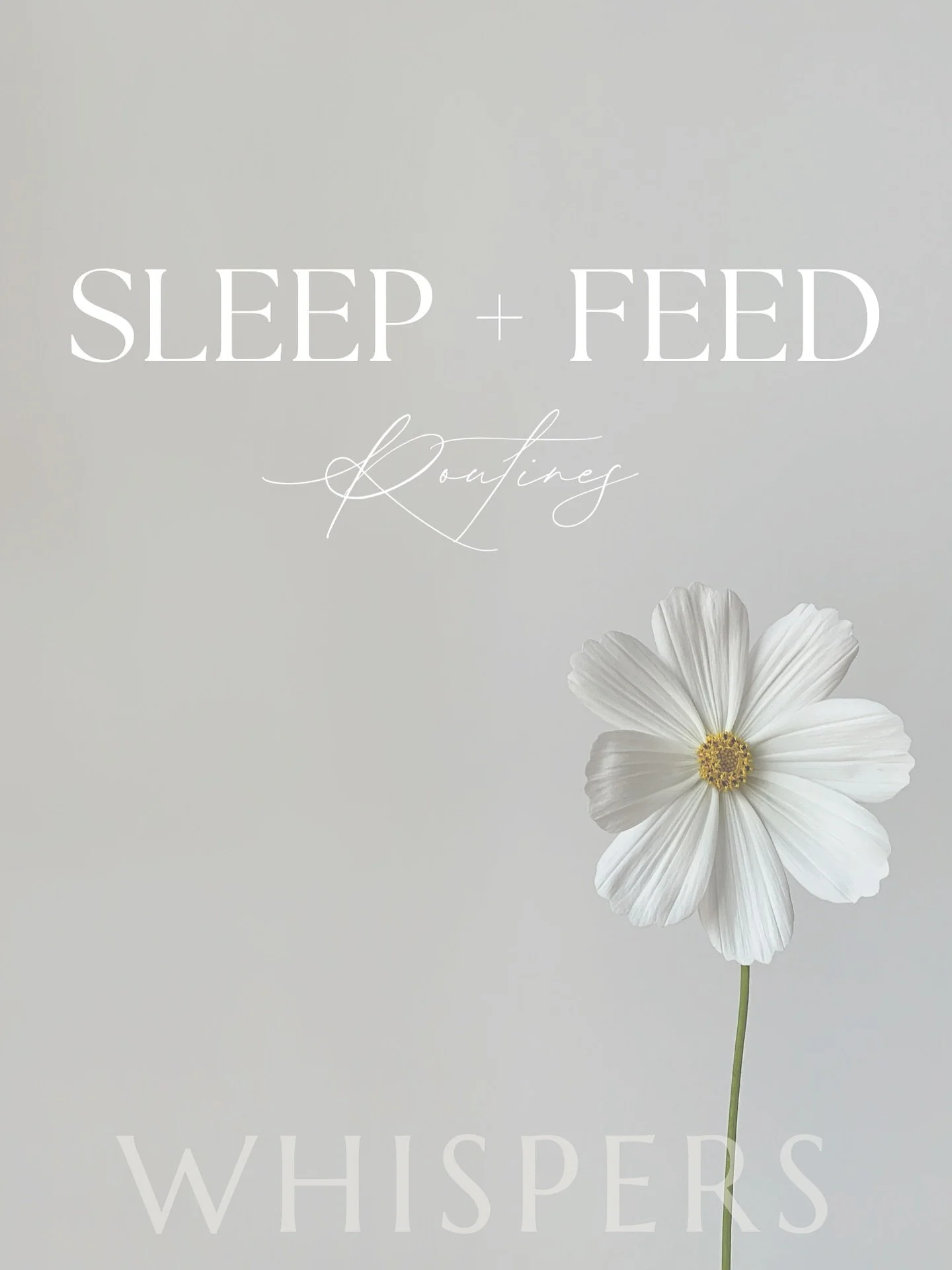 New Digital Resources are LIVE 🌙 Sleep Routines at your finger tips for just $15.95!! 

#parenting #sleeproutine #sleeptime #sleepregression #baby #sleepcoaching