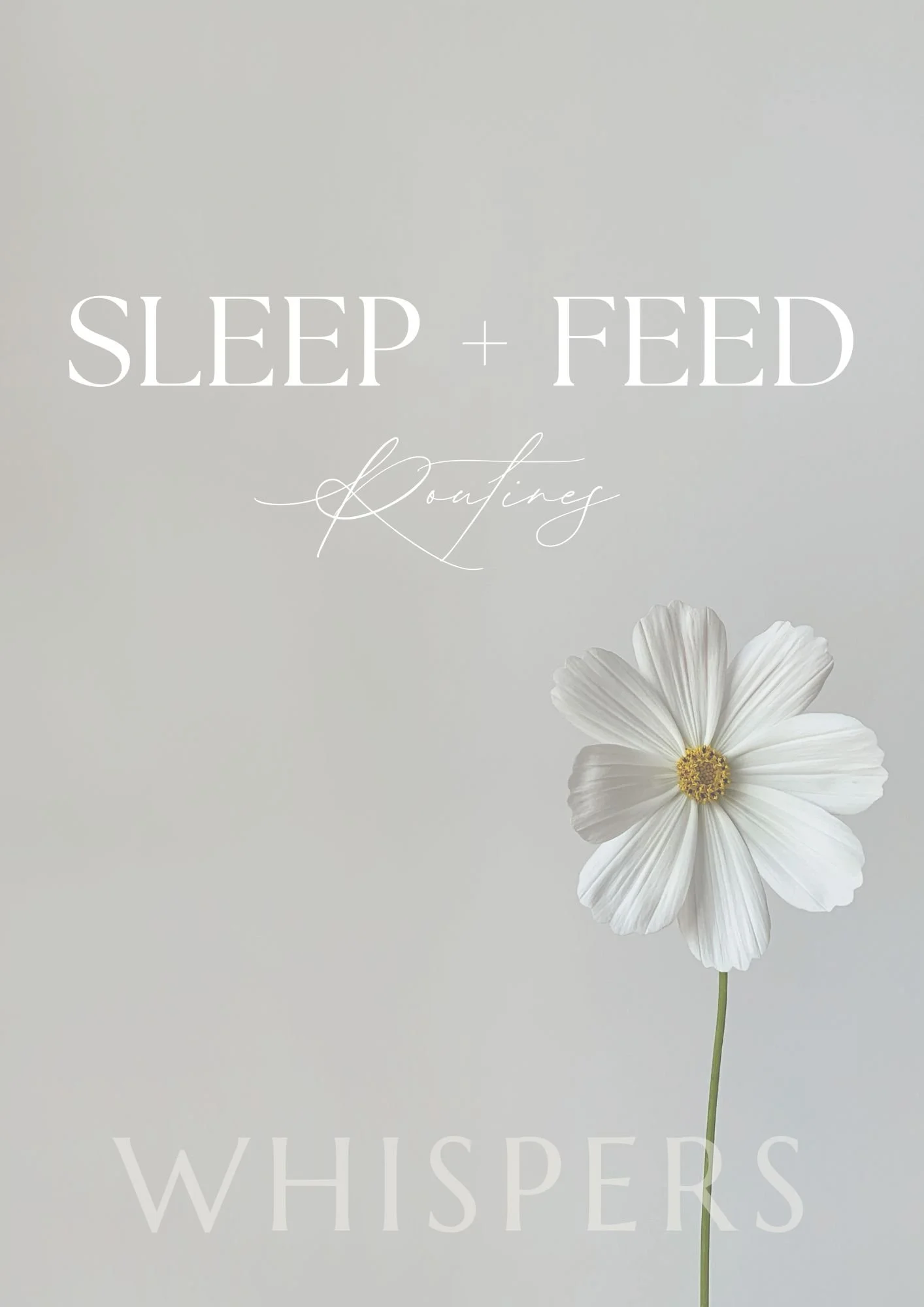 Title.jpg (Copy) (Copy) (Copy)