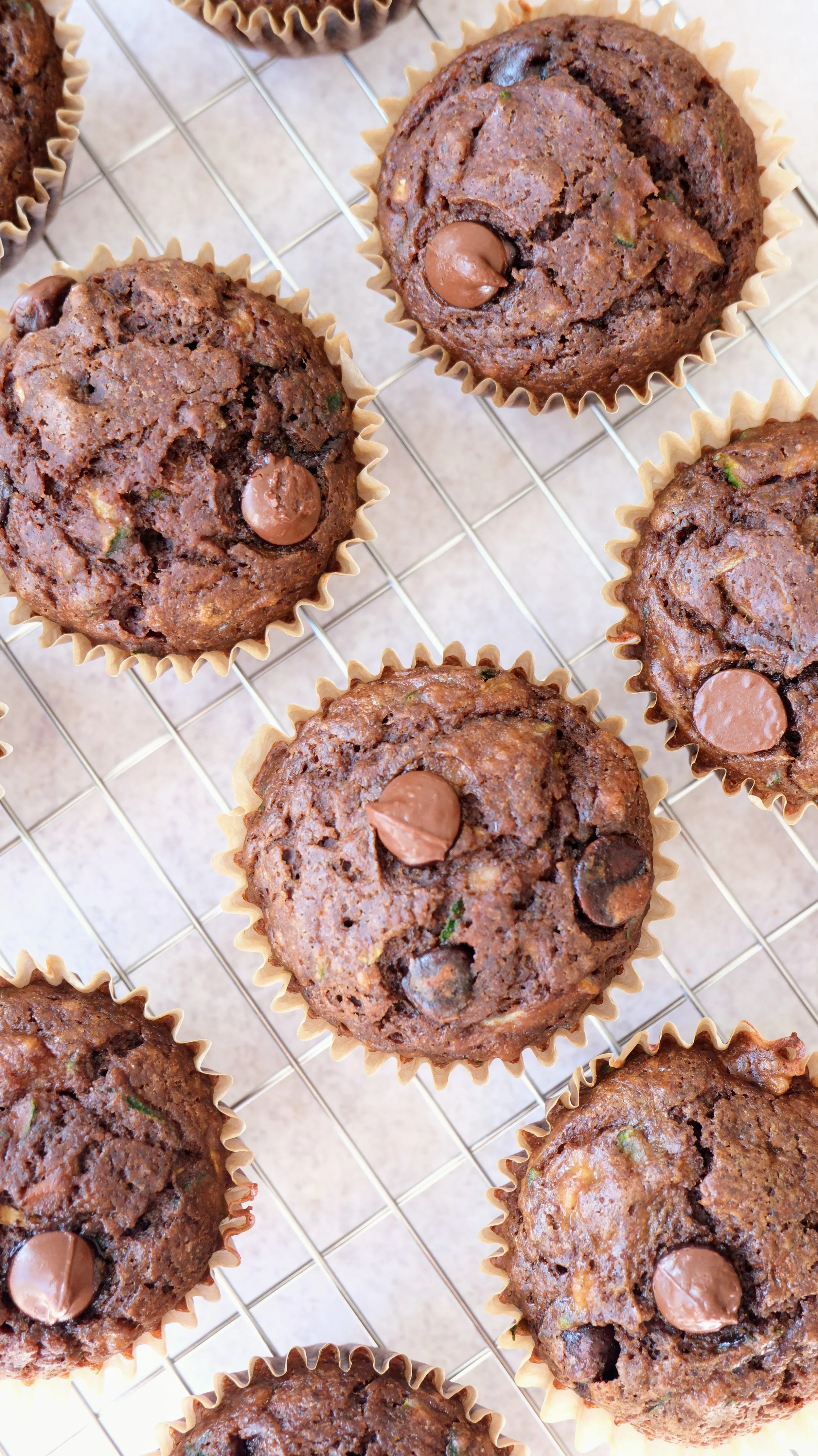Double Choc Muffins