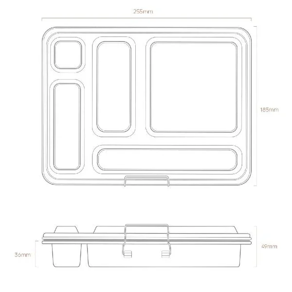 bentosizing.webp