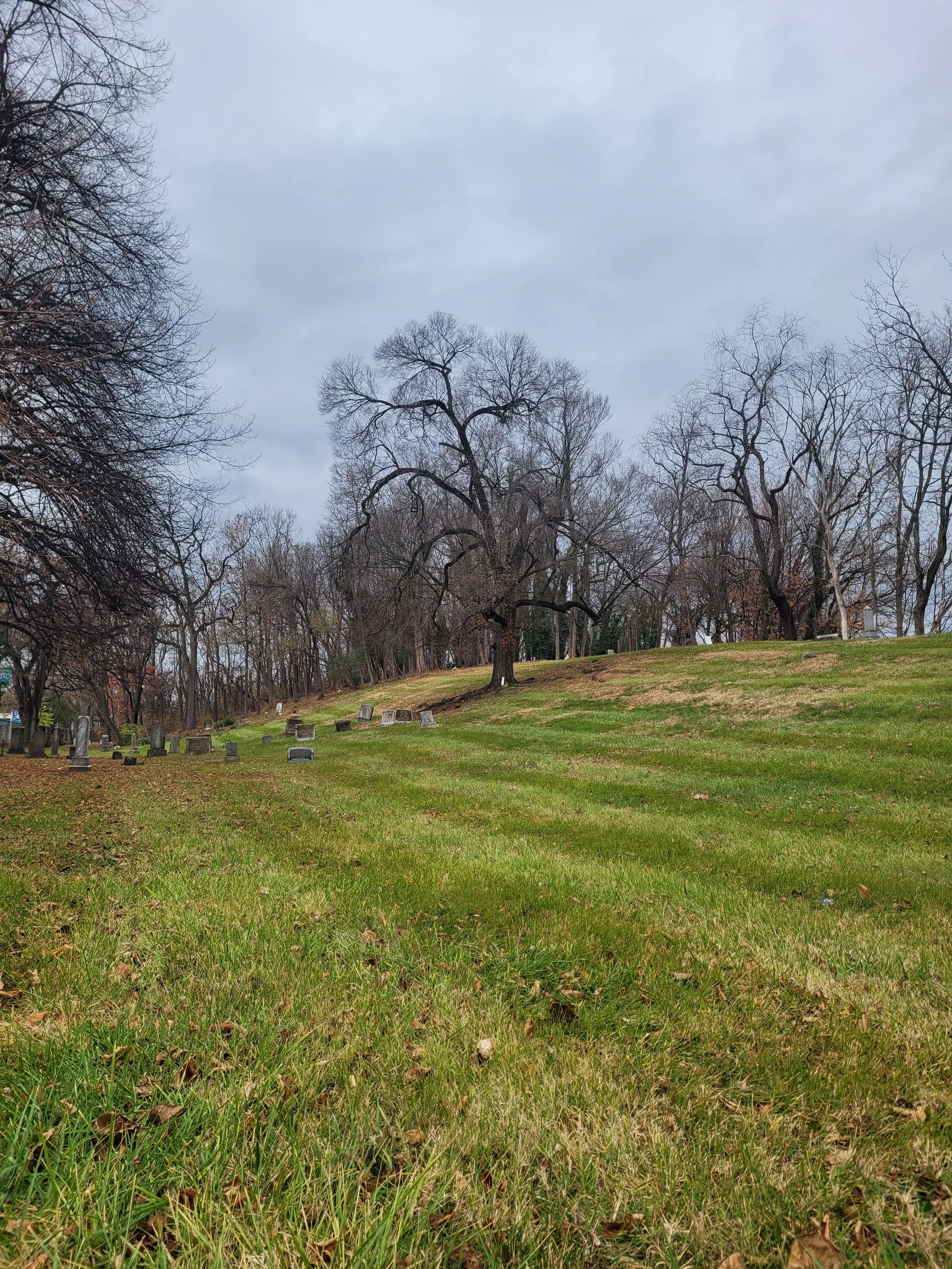 View of a cemetery with gravestones on a grassy hill, surrounded by bare trees under a cloudy sky.