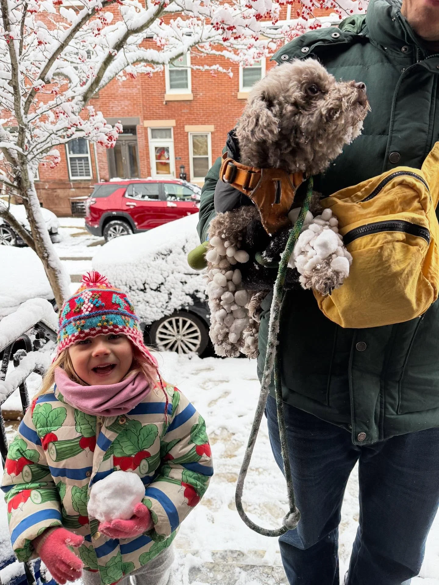 This year we spent the holidays in WV and VA. Thank you to everyone for making it a memorable trip for Frankie who loves her some Christmas Magic. Our cards went out late but should be arriving this week, sending love from Philly
🎄❤️💫🕯️✨💚💫
-
#wv