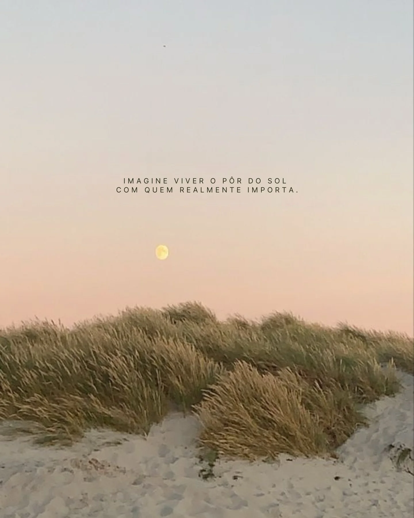 Existem lugares que n&atilde;o s&atilde;o apenas para morar.
S&atilde;o para viver cada detalhe.

Floralis 🌿 foi pensado para quem valoriza tempo de qualidade, encontros verdadeiros e momentos que ficam.

Balne&aacute;rio Cambori&uacute; ganha um no