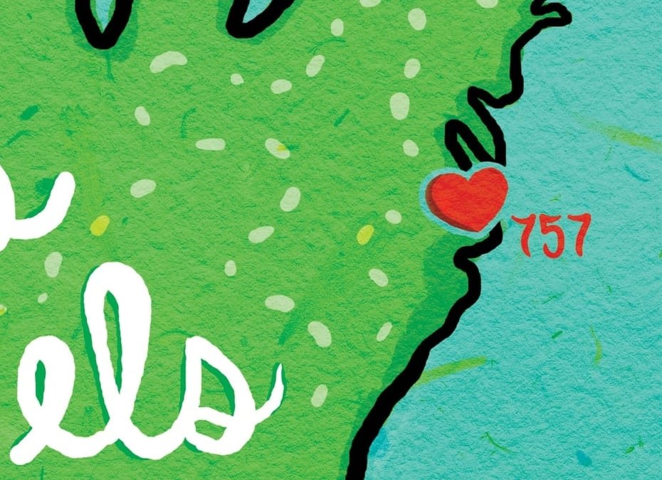 Caiden Michael's Travels Book Cover detail