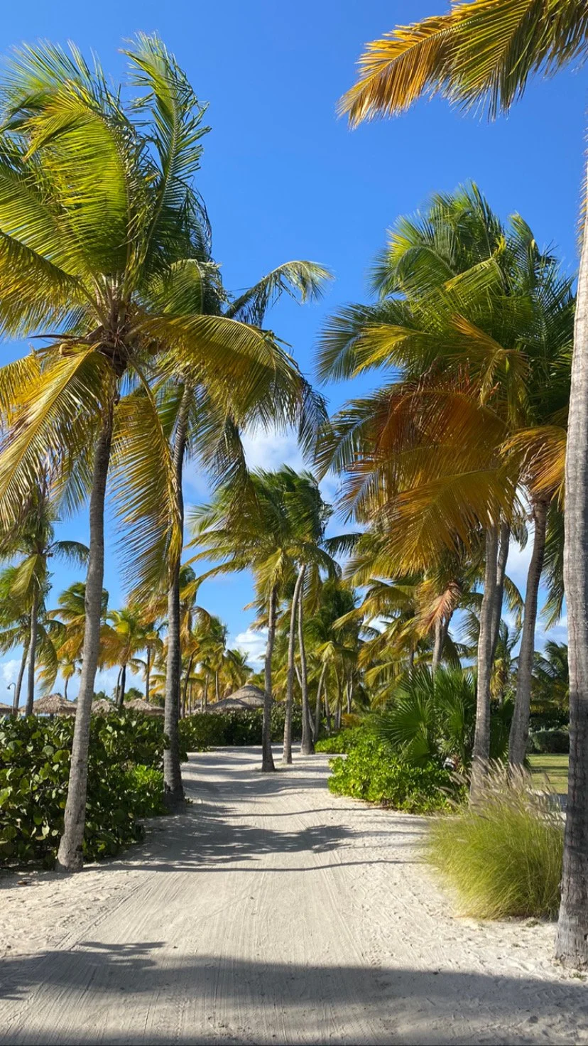 Emily-West_Luxury-Travel-Advisor-tropical-honeymoon.JPG