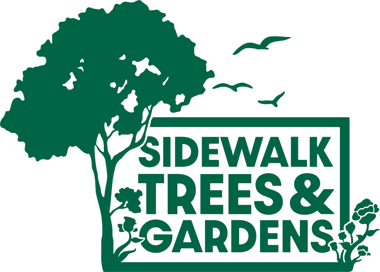 Sidewalk+Trees+&+Gardens+Logo+Green+Primary.webp