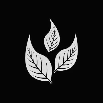 MJM 